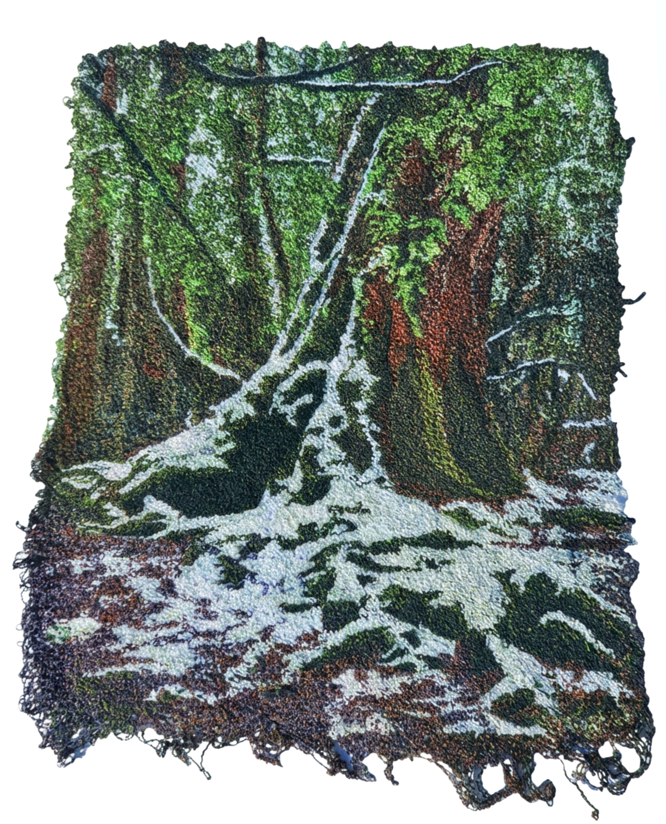 A Touch of Snow. (Click on Image to purchase)