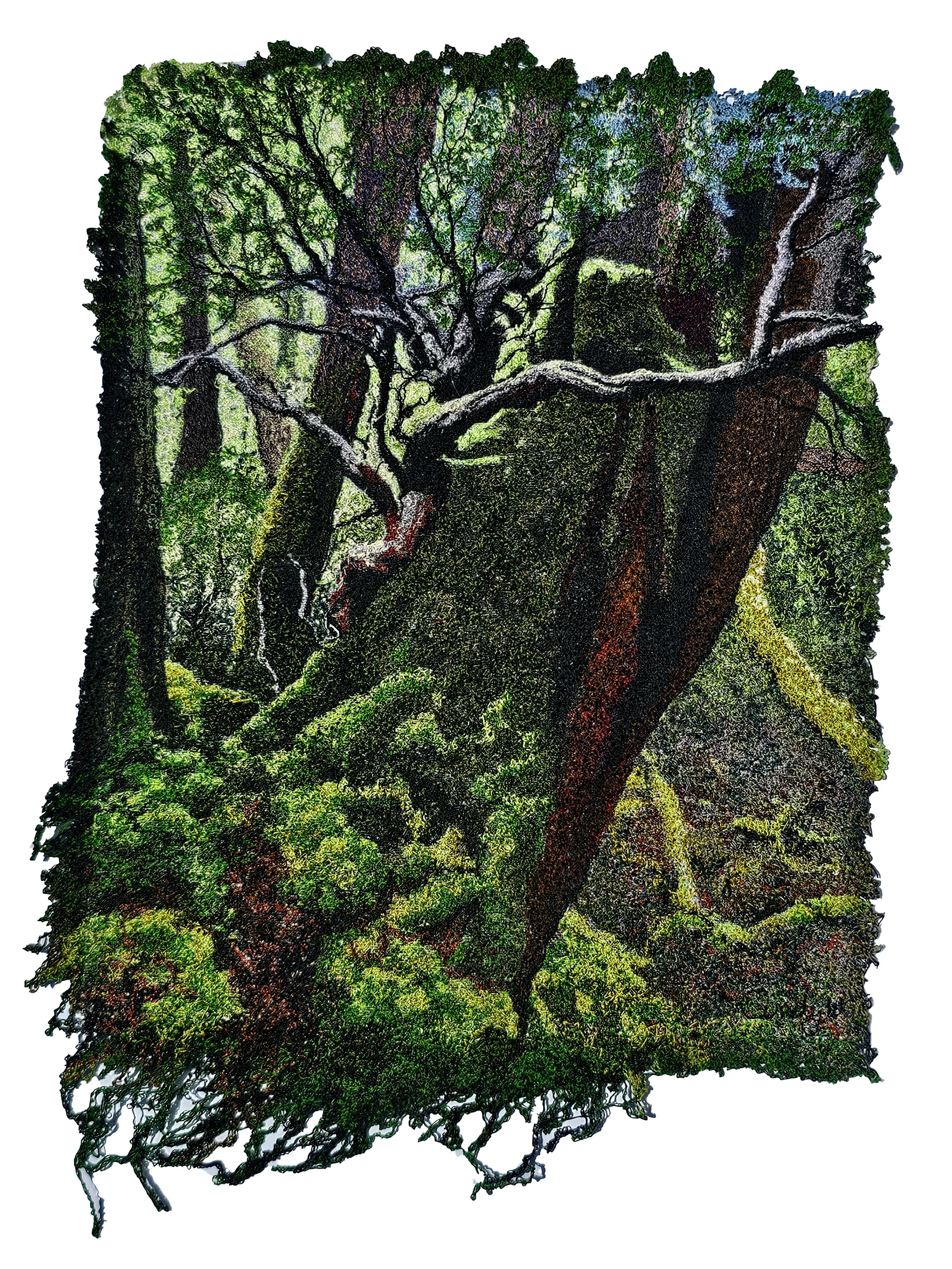 In the Fairy Glade will be available on the 5th of February