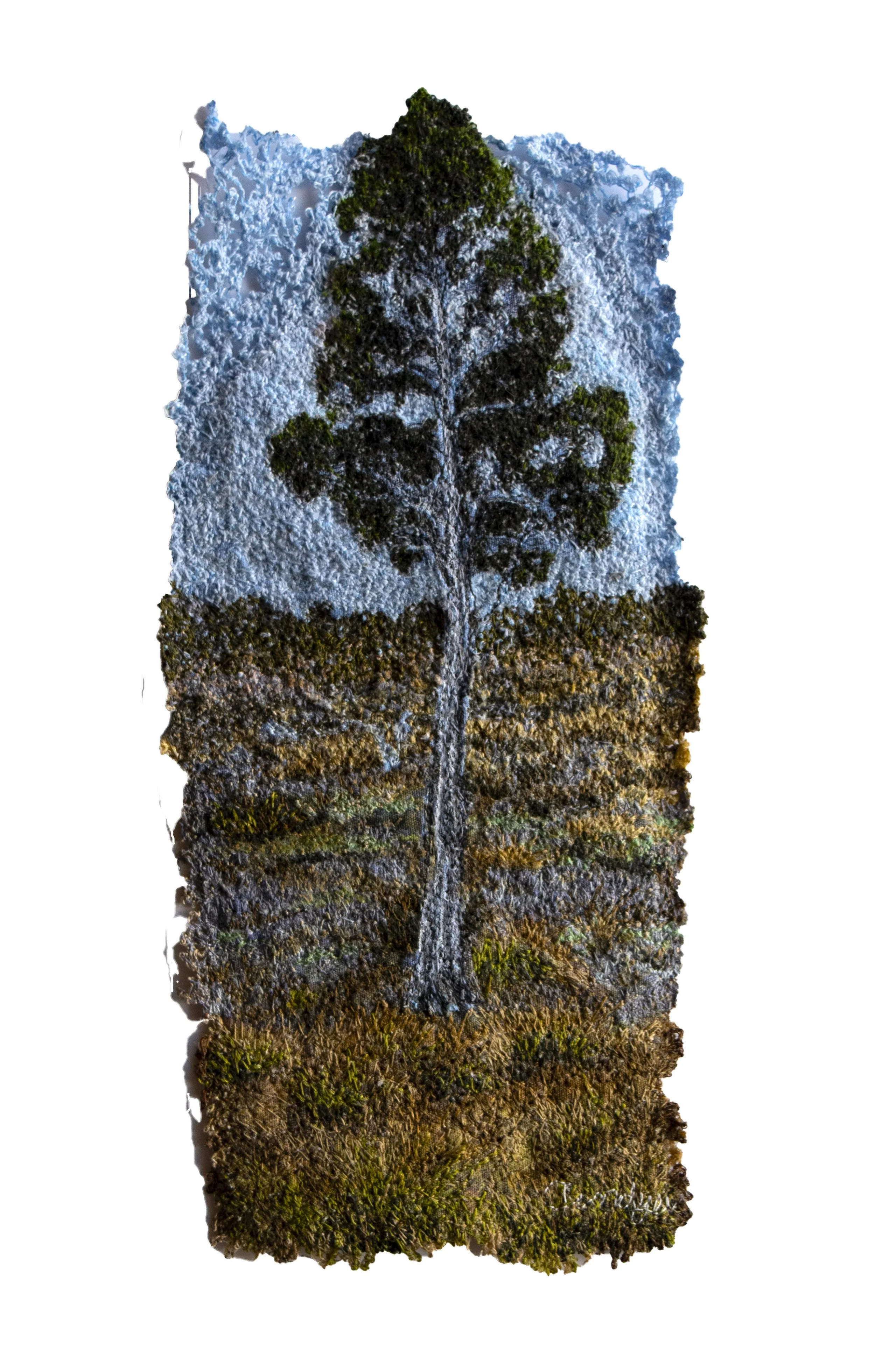 Lone Pine. (Click on Image to purchase)