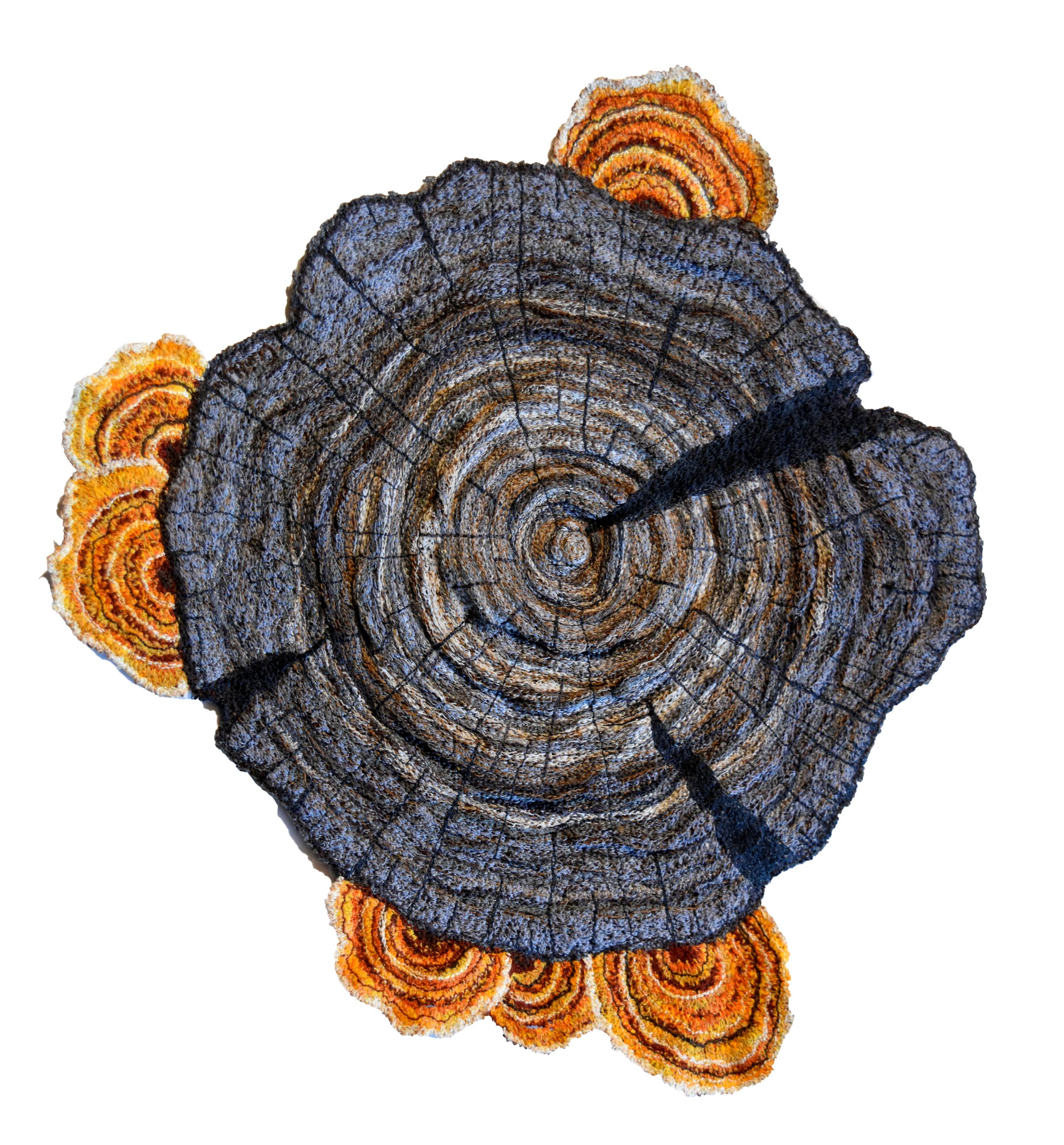 Stump and fungi 1 will be available in February 