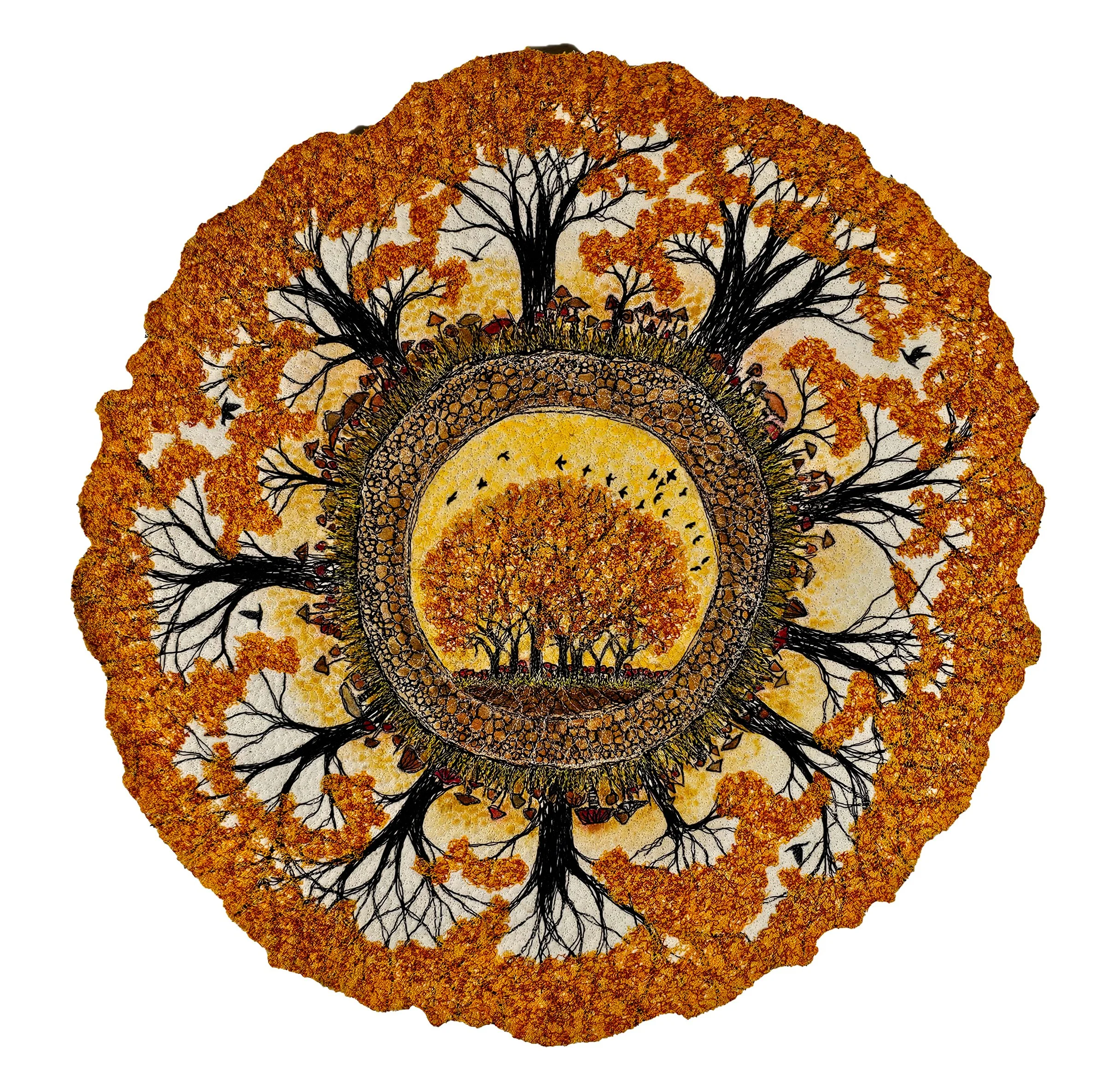 Coming Full Circle Click to pruchase