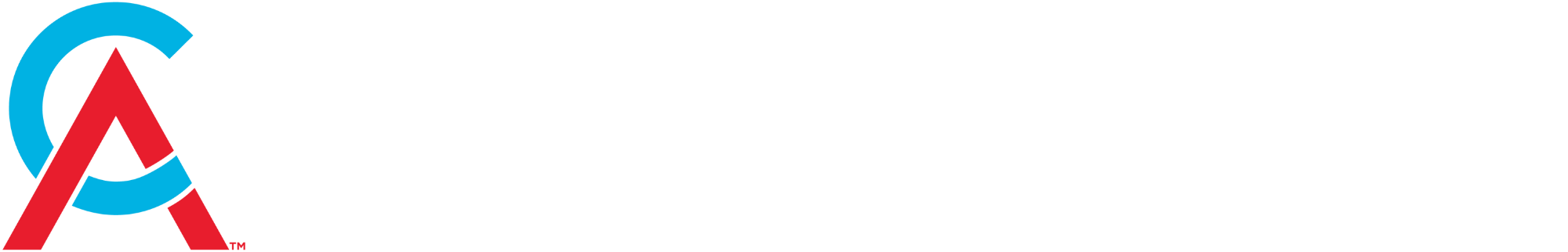 Chartered Accounts Australia + New Zealand logo