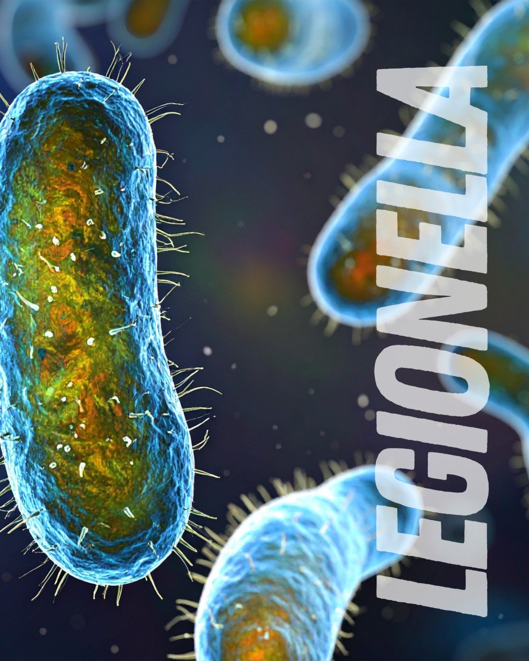 📢 What is Legionella &mdash; and why should you care? 💧🦠

Legionella is a type of bacteria that can grow in water systems &mdash; especially when water is stored or stagnates between 20&deg;C and 45&deg;C &mdash; and if inhaled as tiny droplets, i