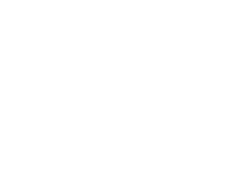 DHL On the Road Logo weiß