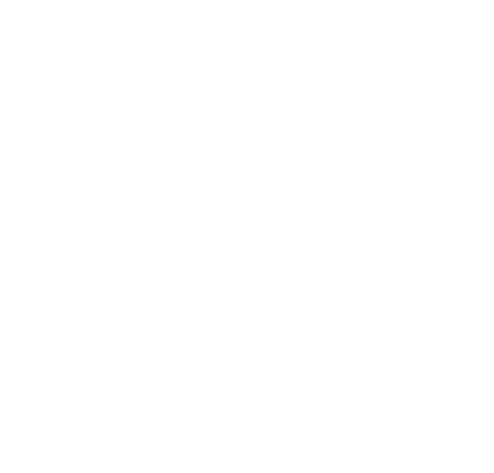 Express Logo weiß