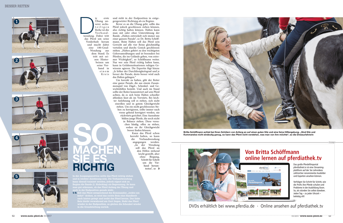 50-55-Dressur-2.png