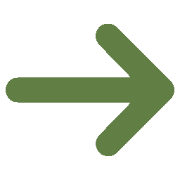 Green right-pointing arrow