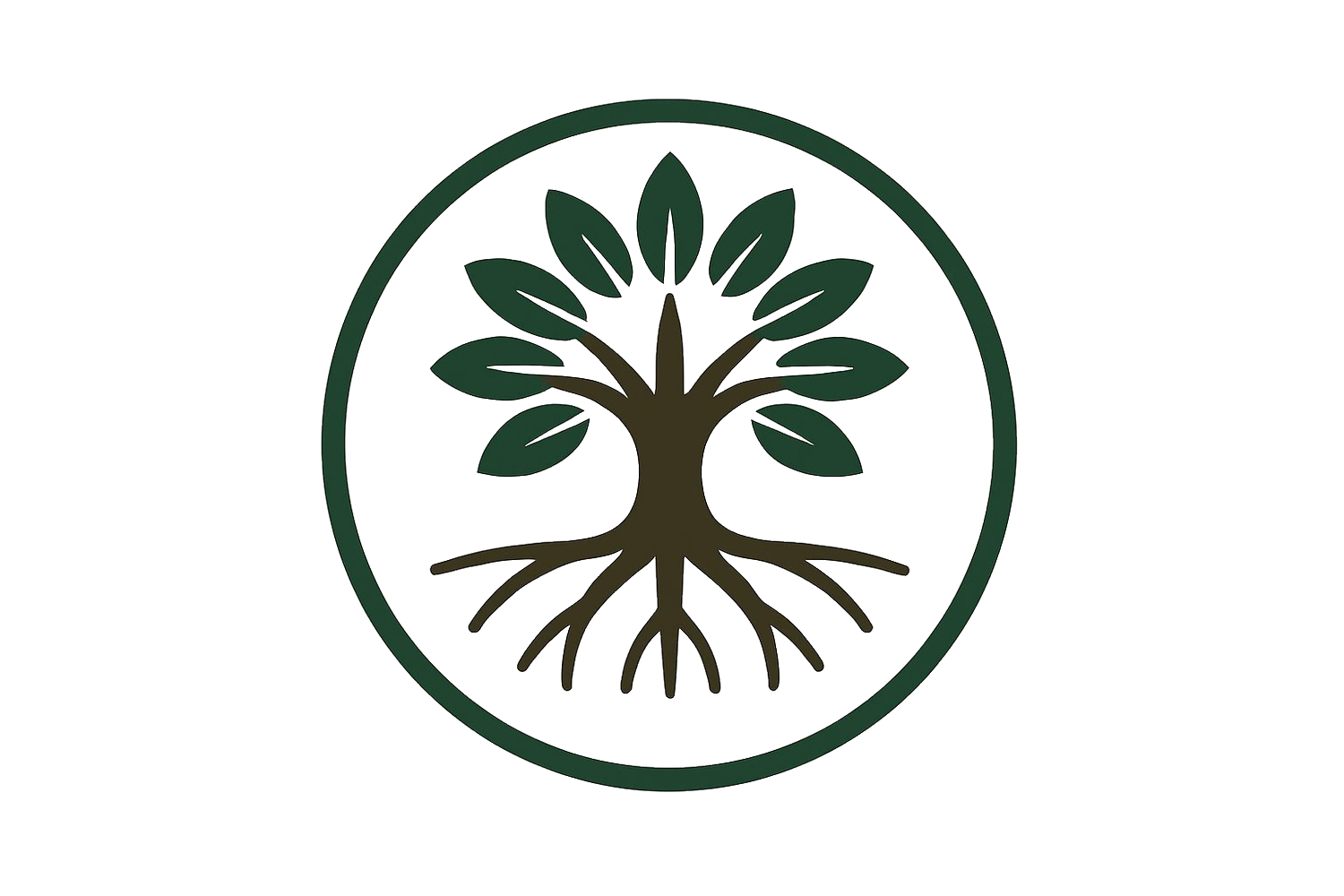 Mangrove Consulting