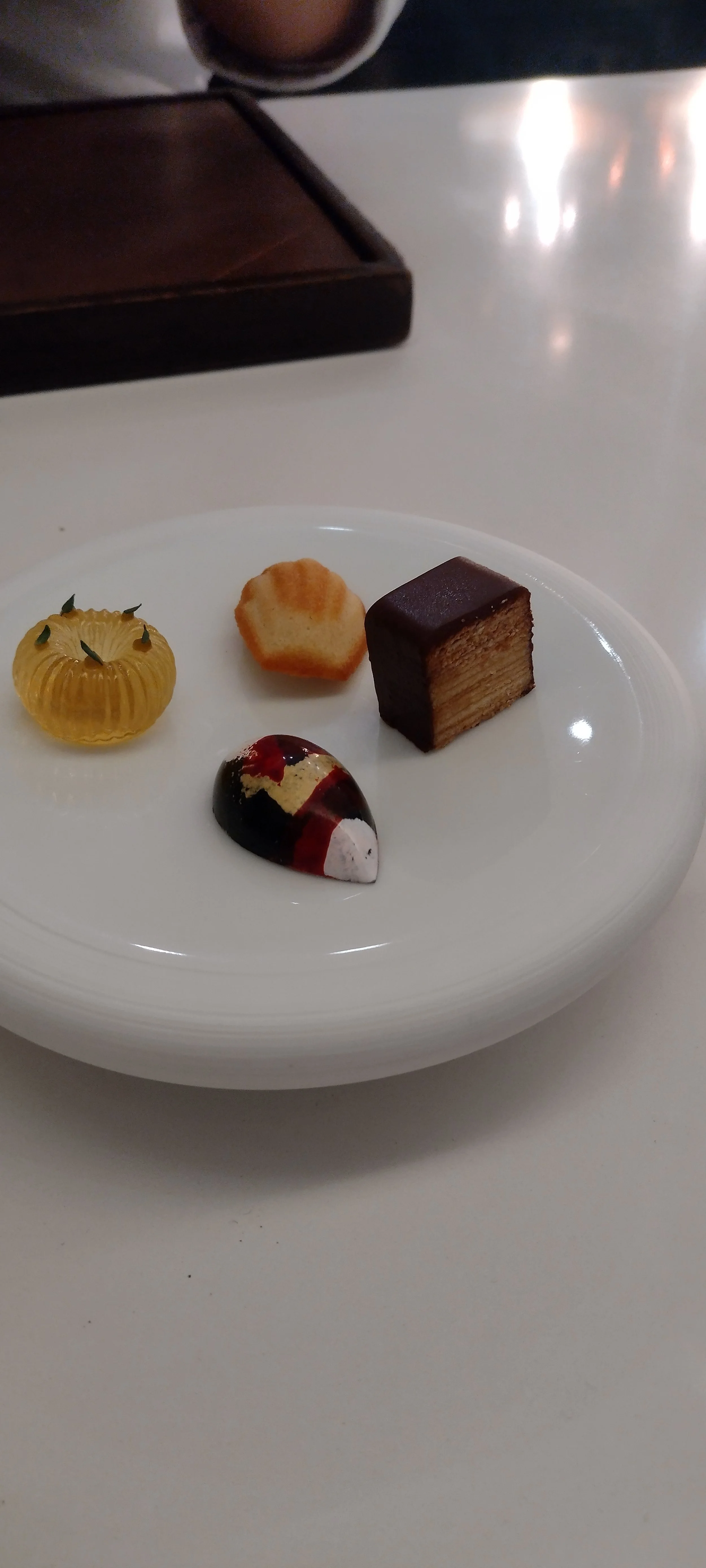 IMG_20250220_212547014.jpg