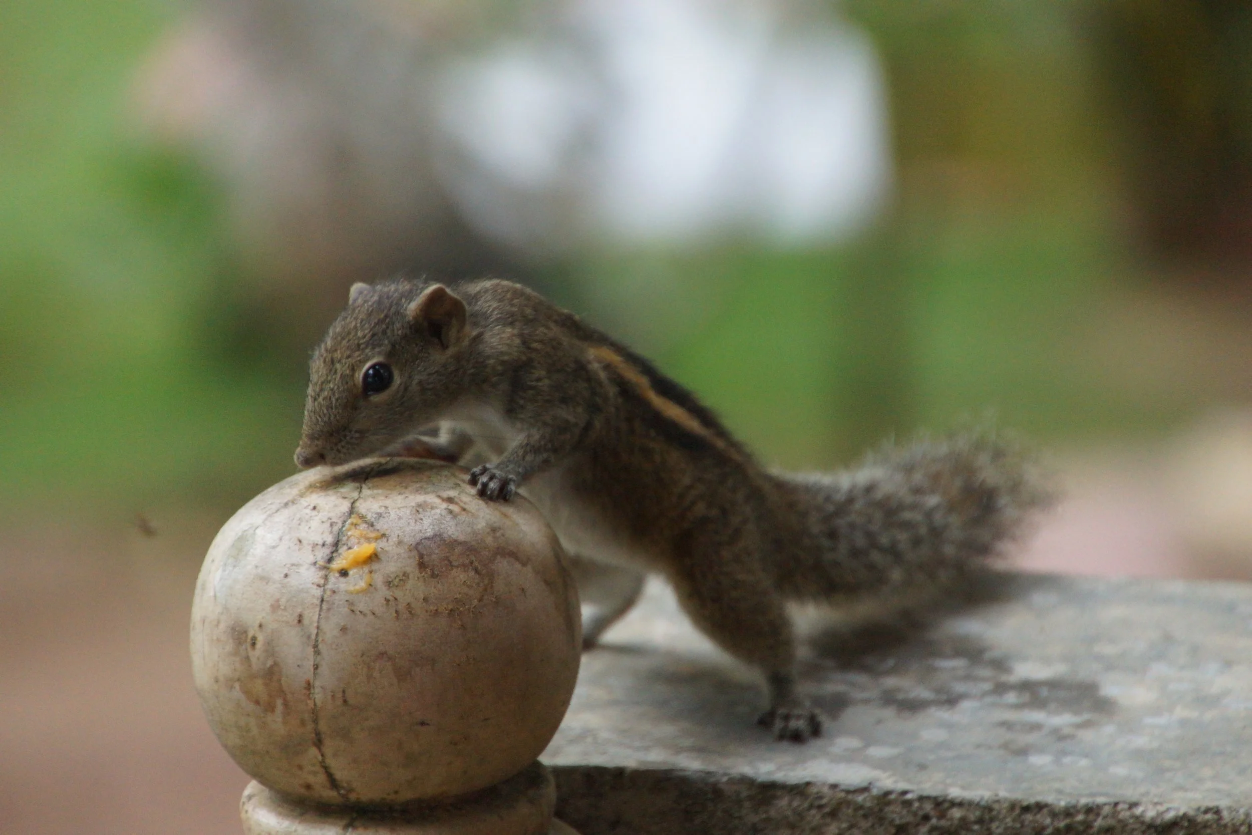 Tschüss 2025, hey 2026!