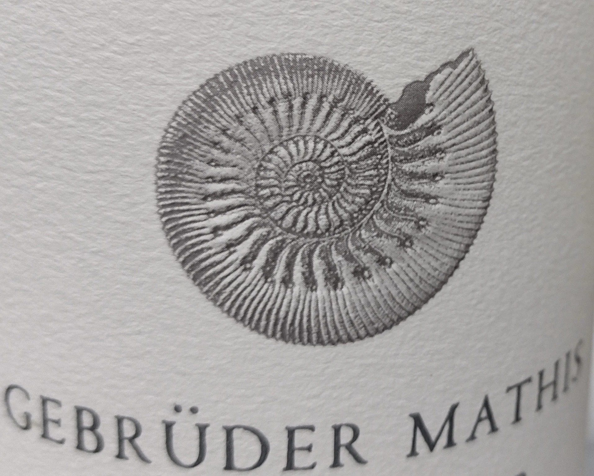 Mein Wein 2026: Kategorie Burgunder weiß