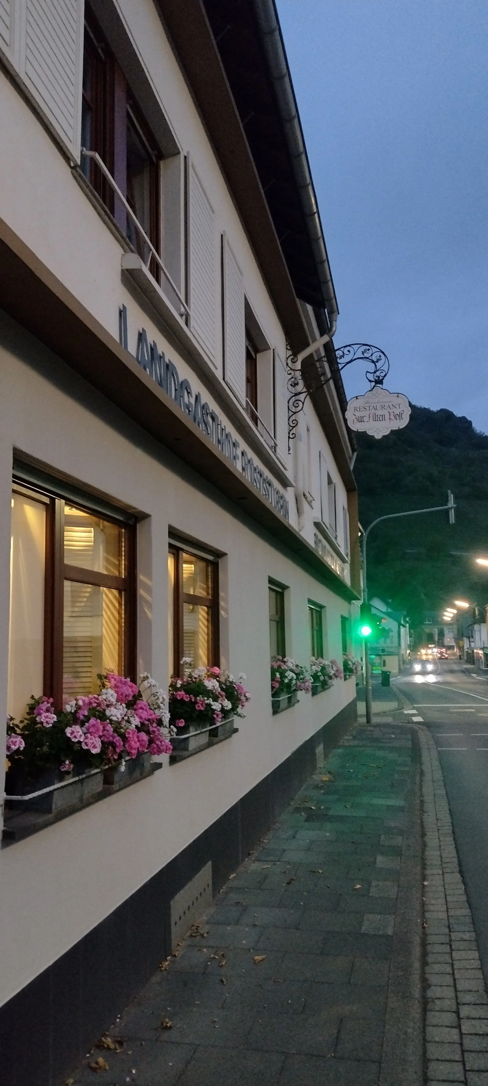 Steinheuers