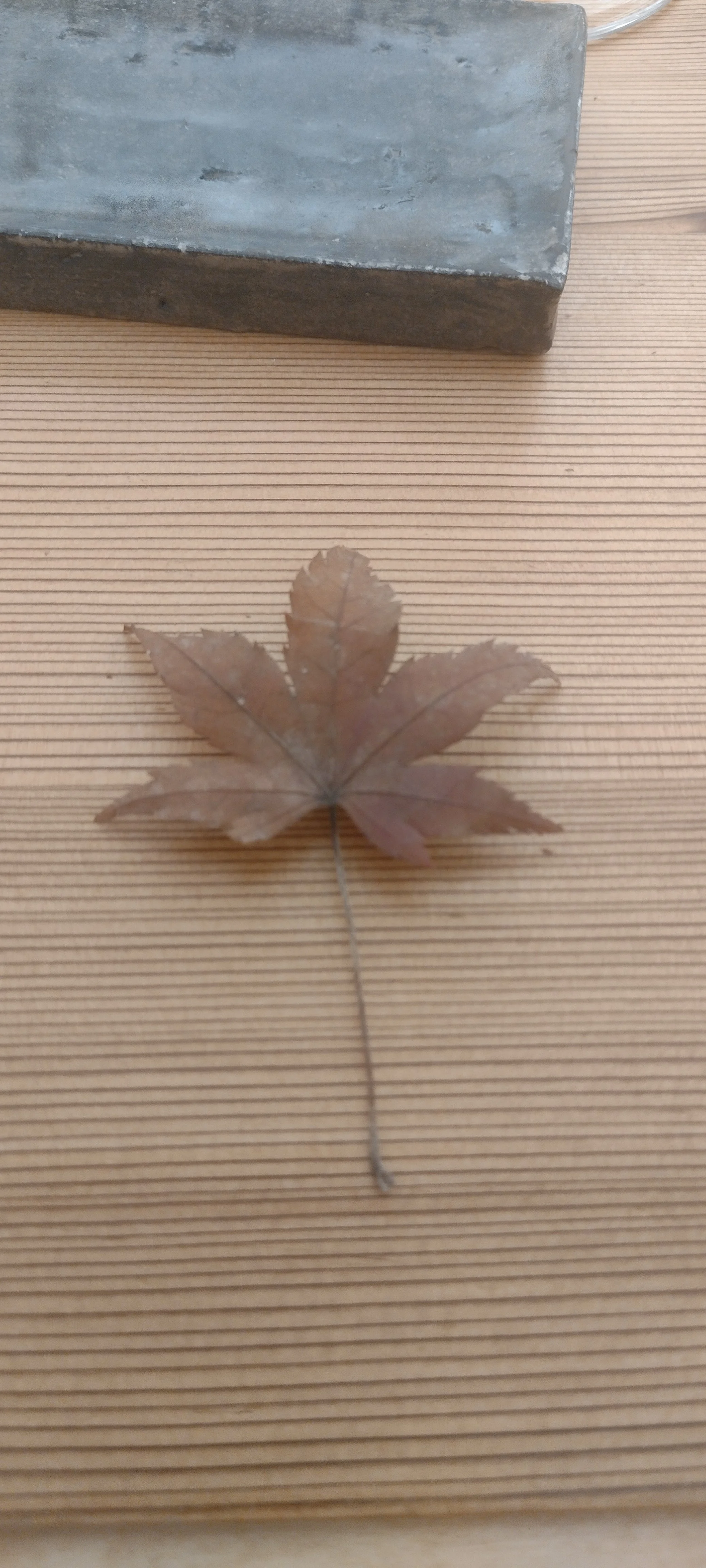 Deko im Restaurant Sushi Yoshinaga in Paris