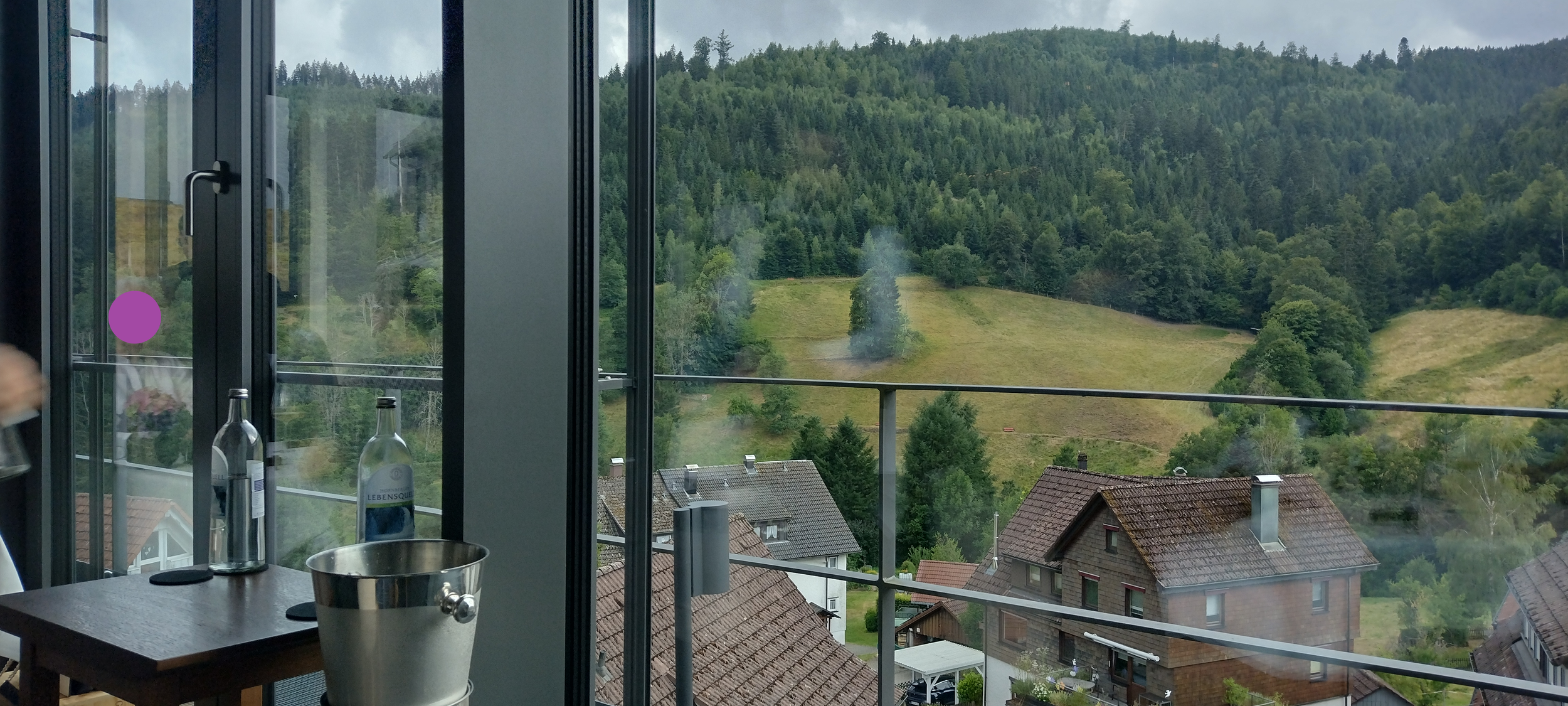 Blick nach draußen von der Schwarzwaldstube in Baiersbronn