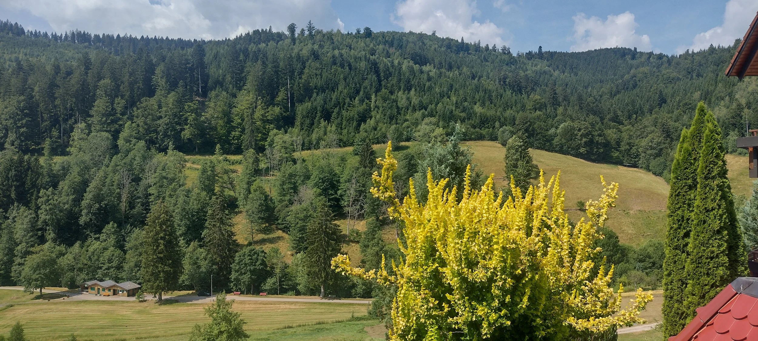 Blick auf den Schwarzwald aus dem Hotel Traube Tonbach in Baiersbronn