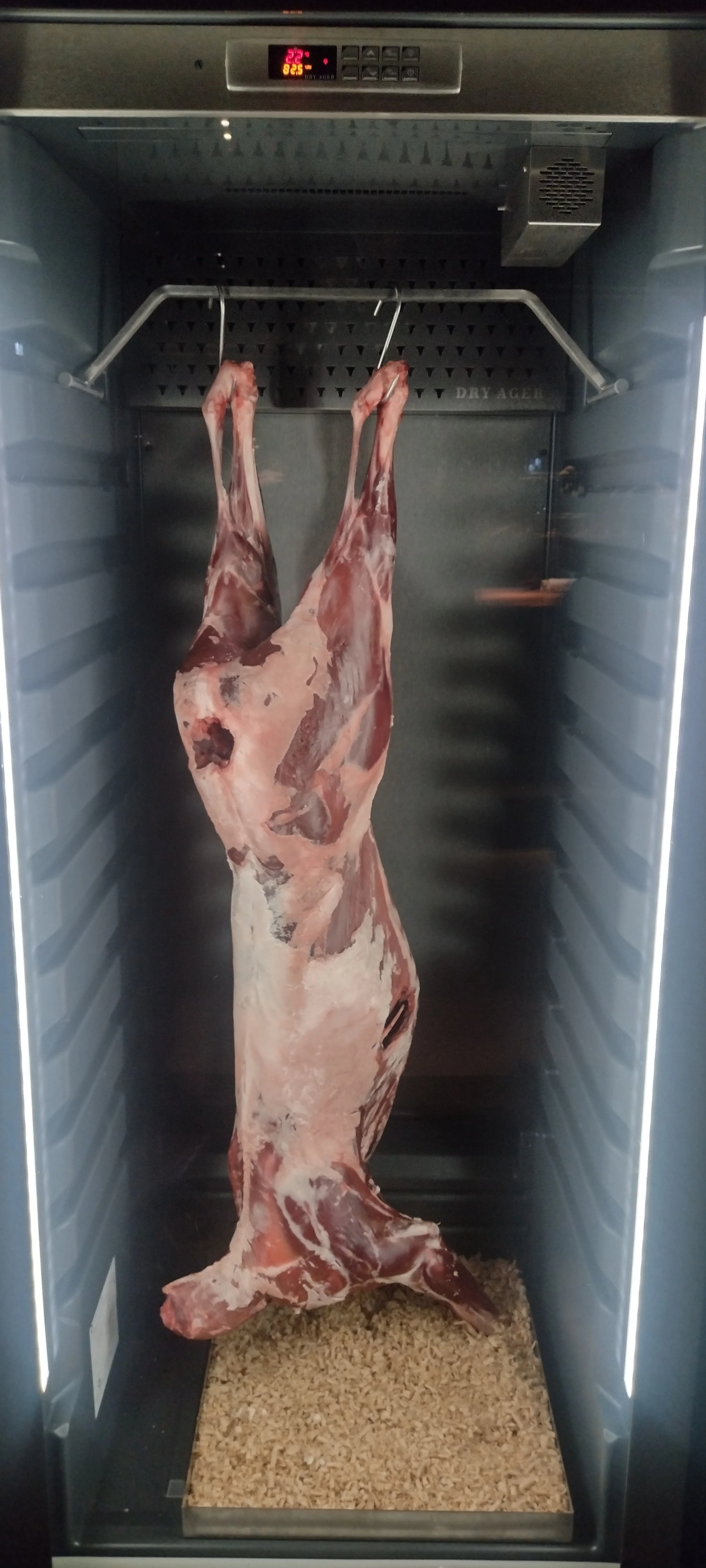 Wild im 100/200 Kitchen in Hamburg auf dem Restaurantblog Tanoshimi - Fine Dine & Wein. Hier findet sich ein Restaurant-Bericht zum 100/200 Kitchen und andere Bewertungen, Kritiken und Rezensionen von Sternerestaurants und Fine Dining