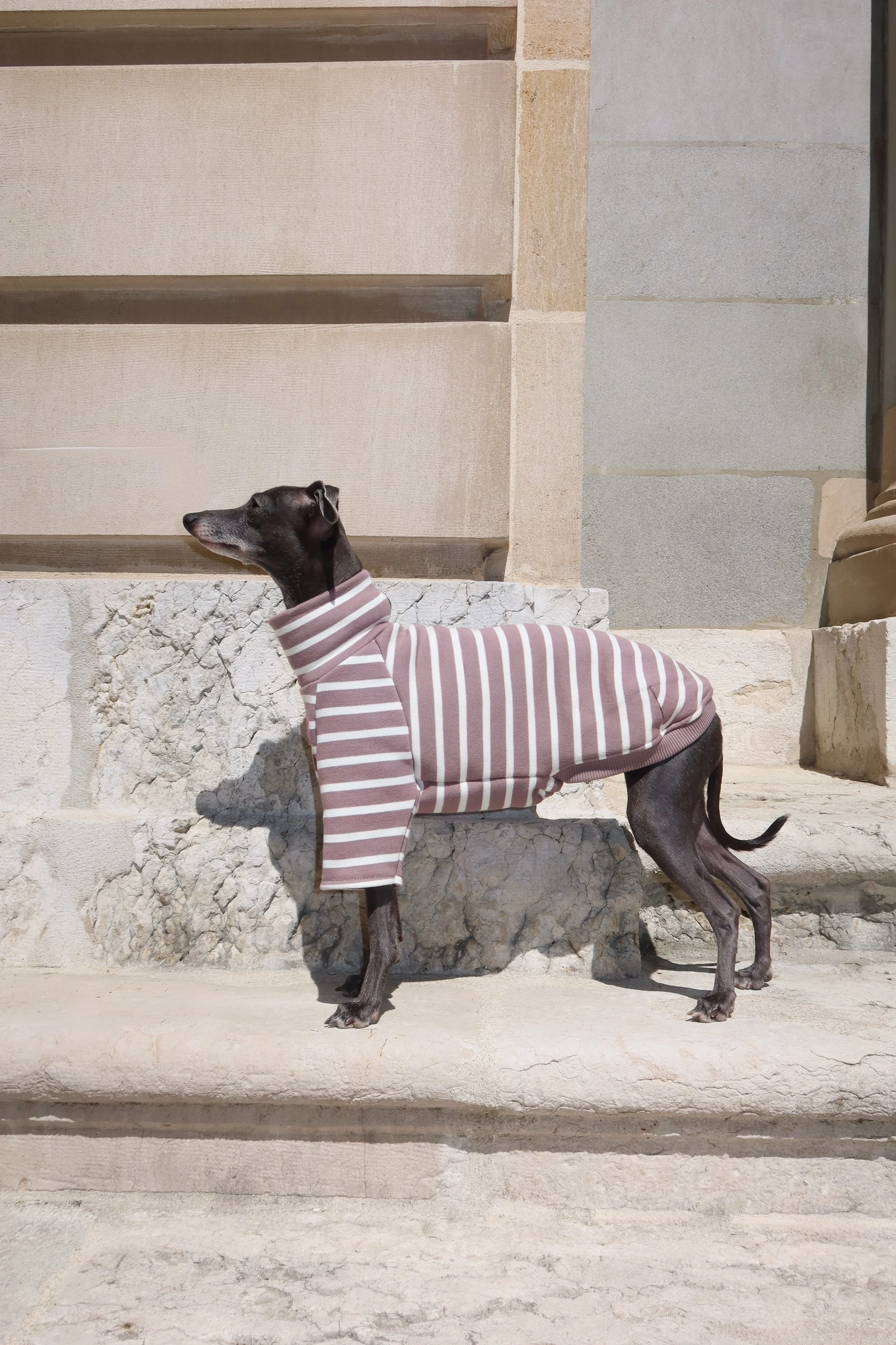 Dolce Bandito leisure shirt