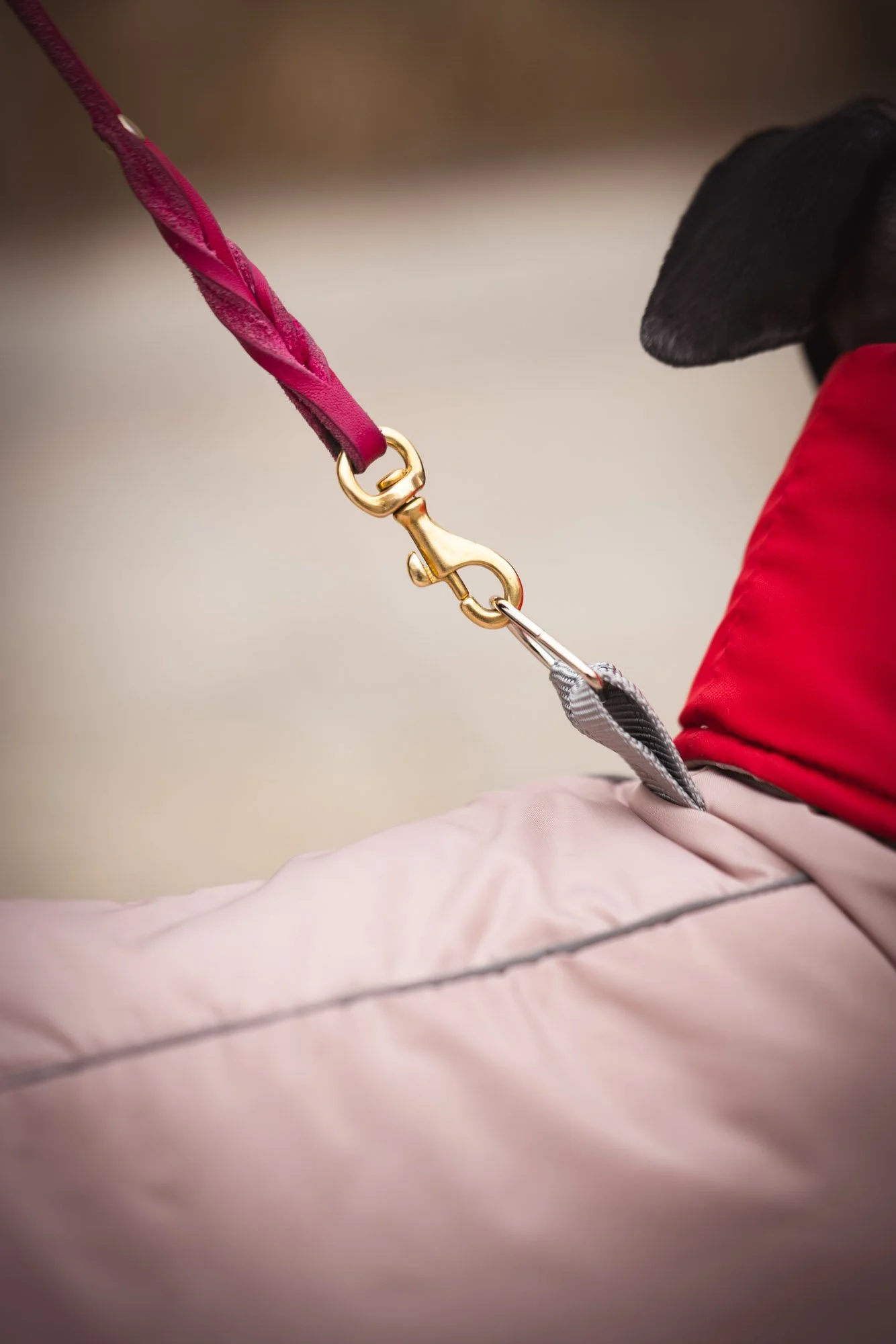 WEB - Edited 72DPI - Joy Corthesy-02997.jpg