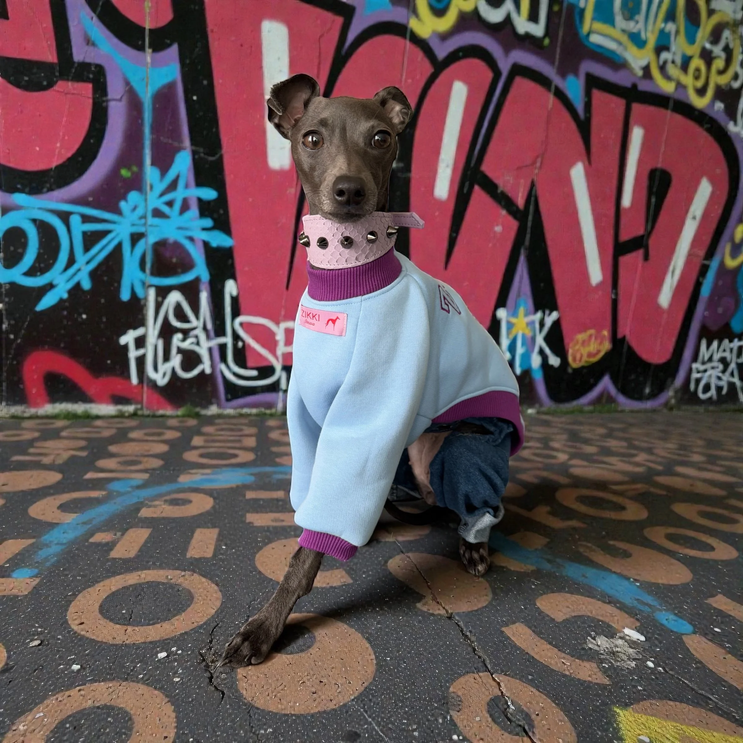 Two women walking dogs on a park pathway in autumn, both wearing jackets and leggings, with trees and steps in the background.