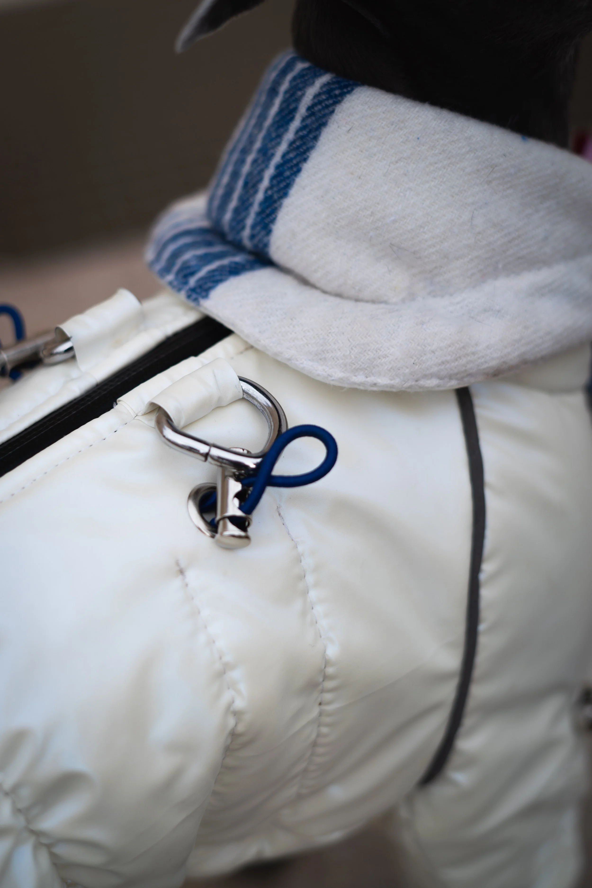 Copyright Joy Corthesy-03209.jpg