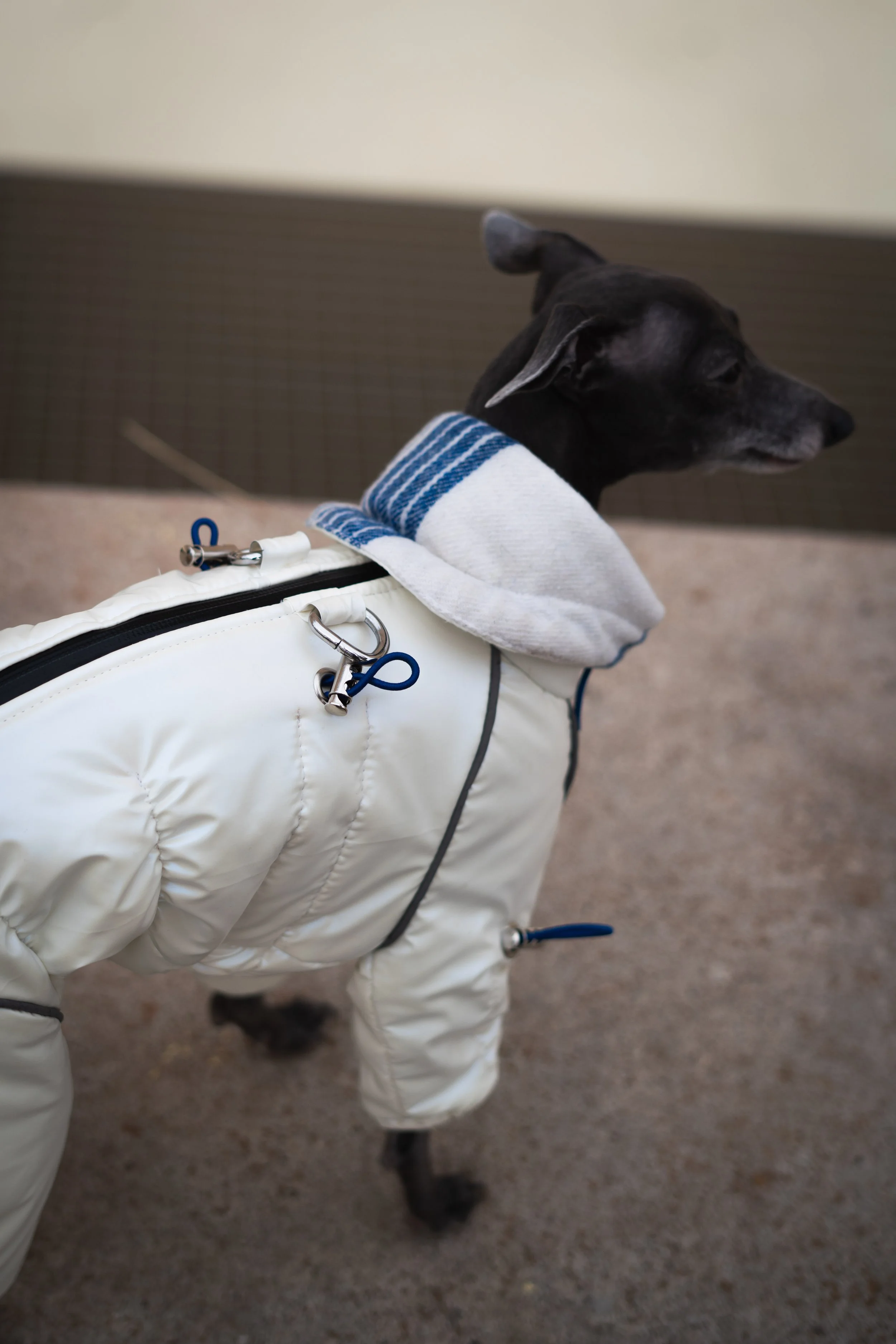 Copyright Joy Corthesy-03206.jpg