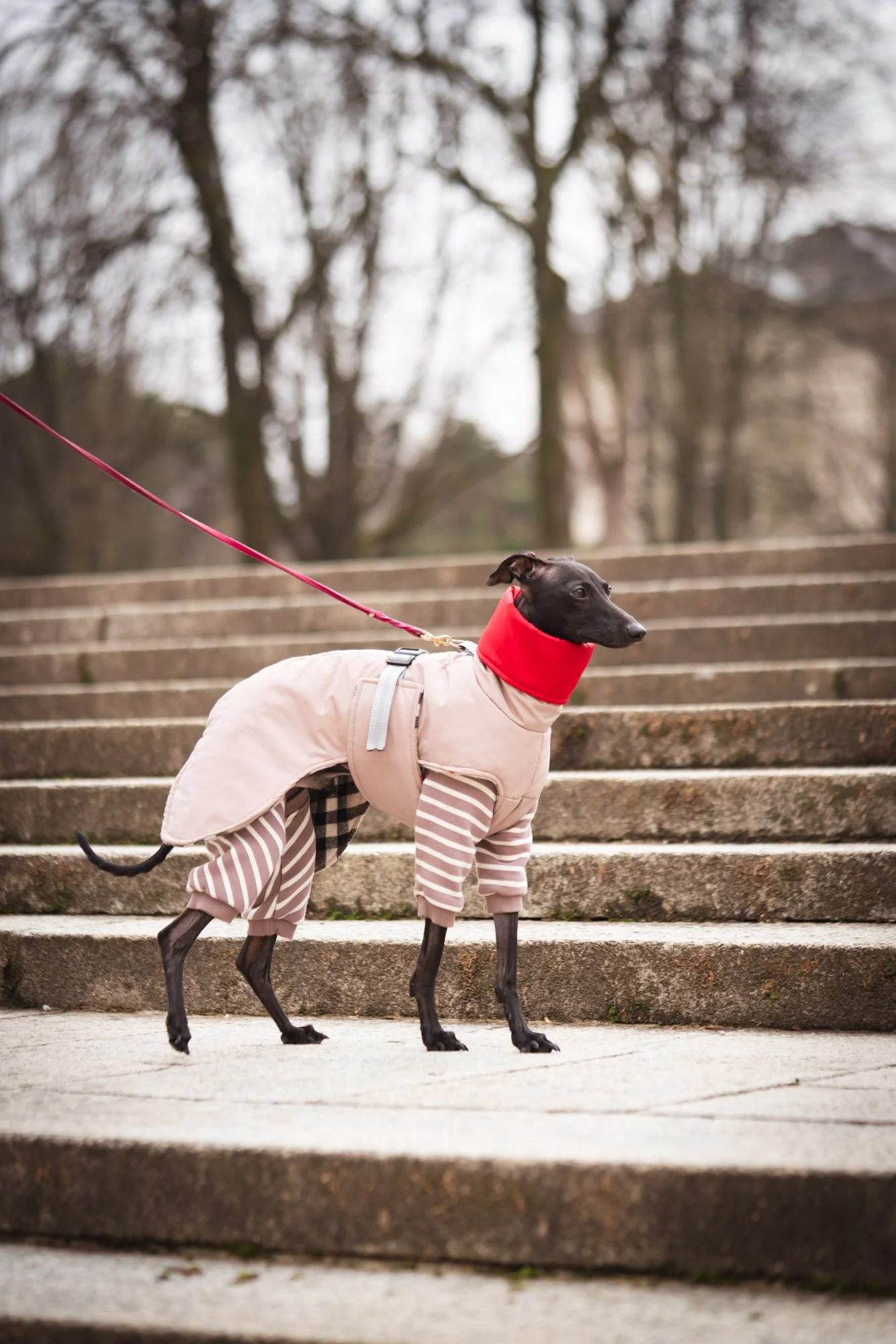 WEB - Edited 72DPI - Joy Corthesy-02939.jpg