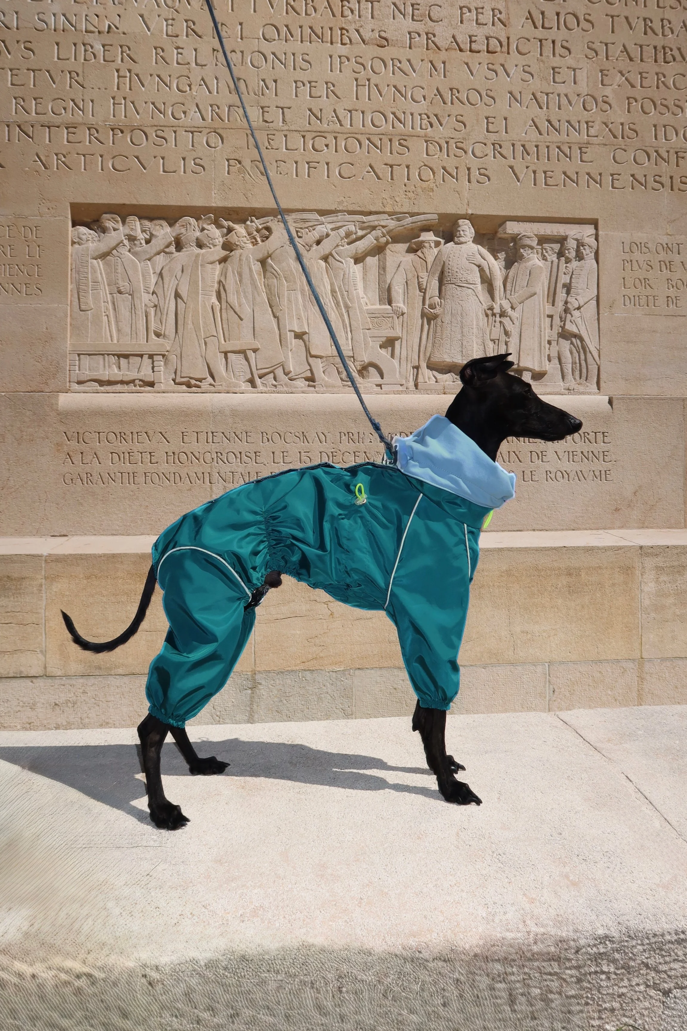 Urban Rainway Coverall