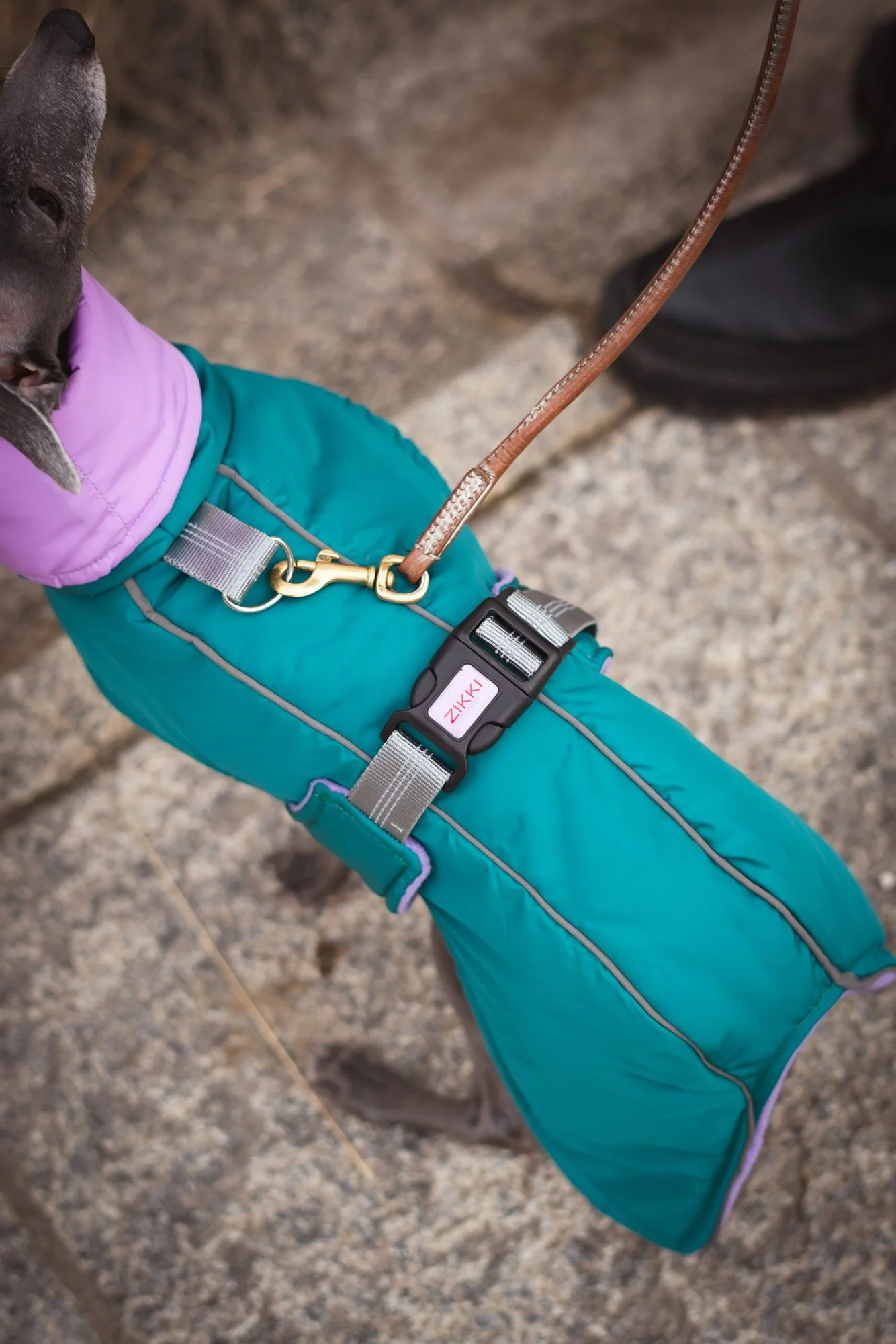 WEB - Edited 72DPI - Joy Corthesy-03316.jpg