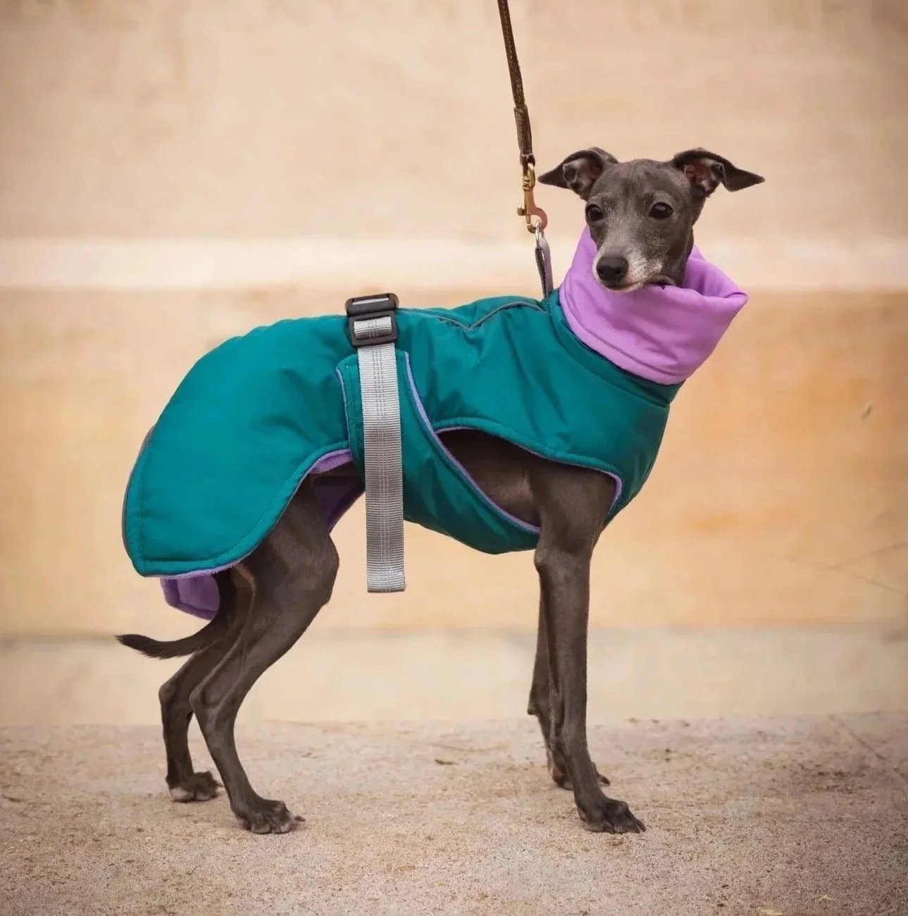The Cheeky casual vest