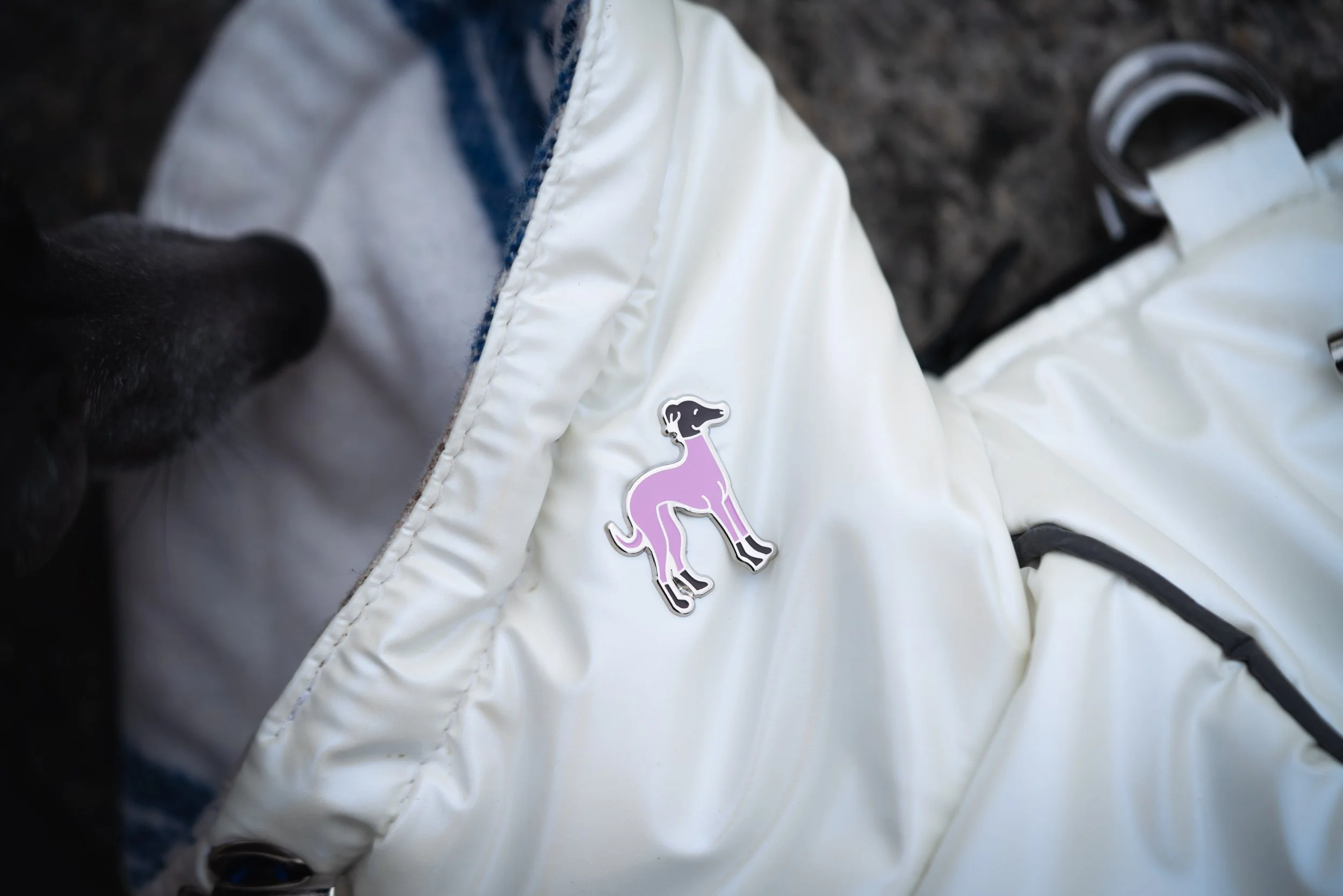 Copyright Joy Corthesy-03673.jpg