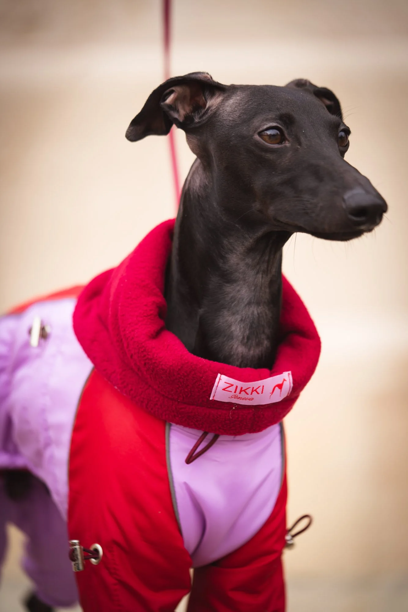 WEB - Edited 72DPI - Joy Corthesy-03111.jpg