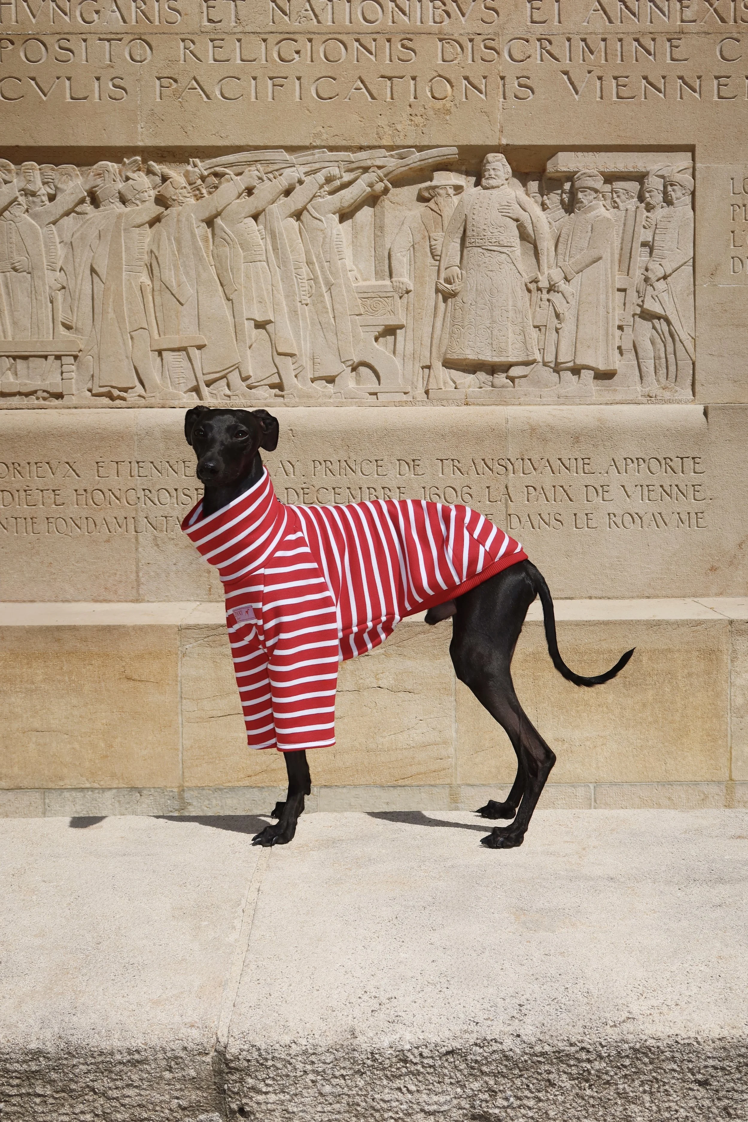 Dolce Bandito leisure shirt
