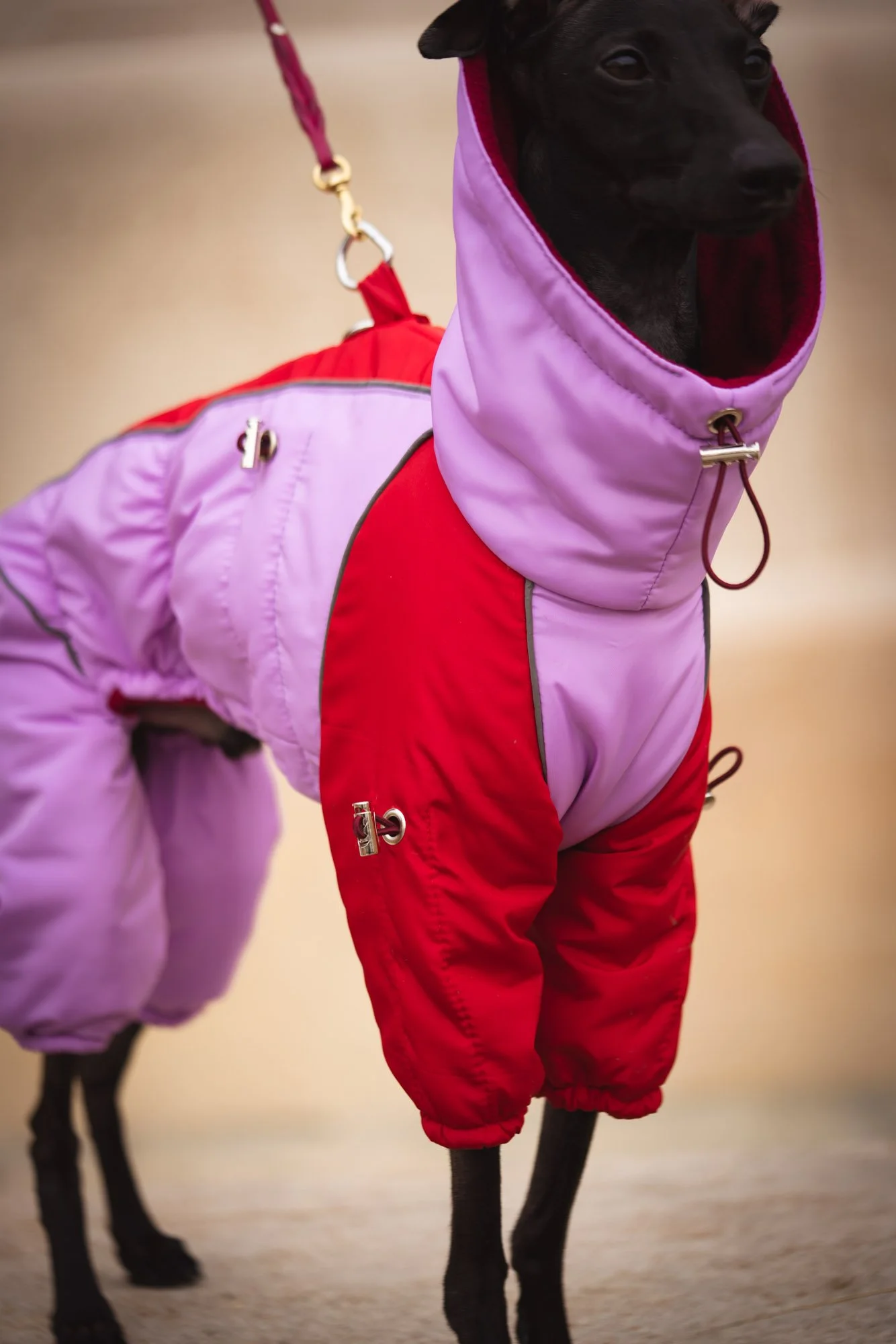 WEB - Edited 72DPI - Joy Corthesy-03099.jpg