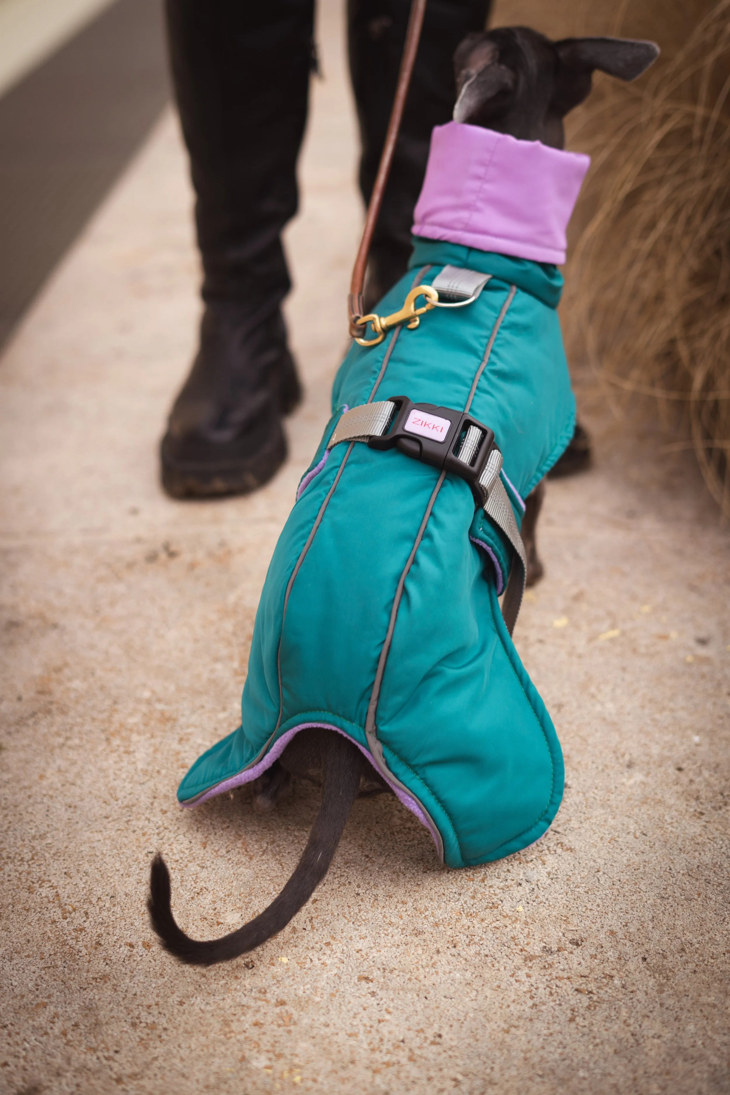 Copyright Joy Corthesy-03364.jpg