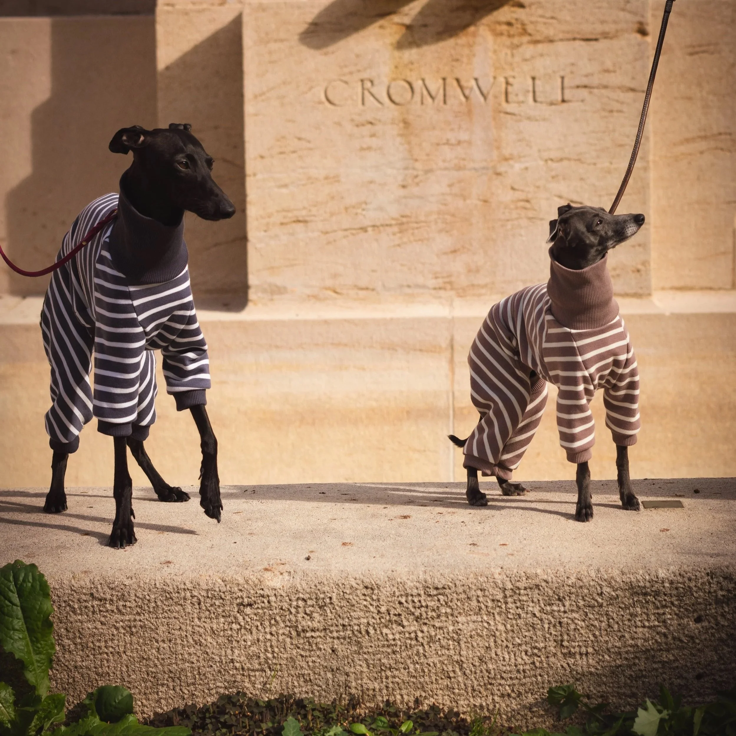 Power Suit or Snuggle Suit – depending on the mood