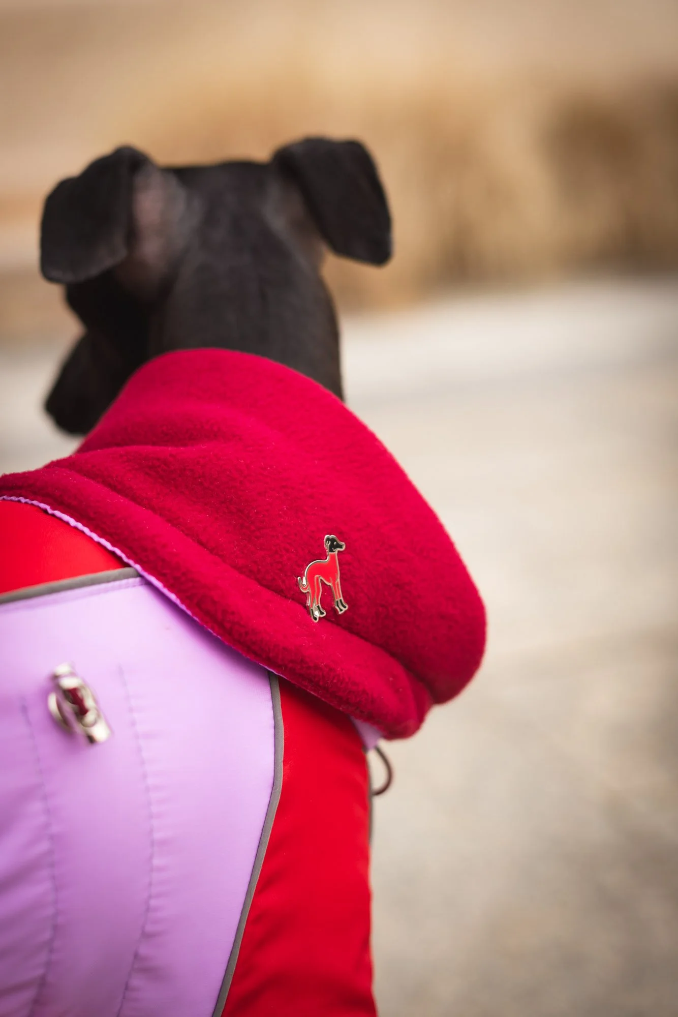 WEB - Edited 72DPI - Joy Corthesy-03473.jpg