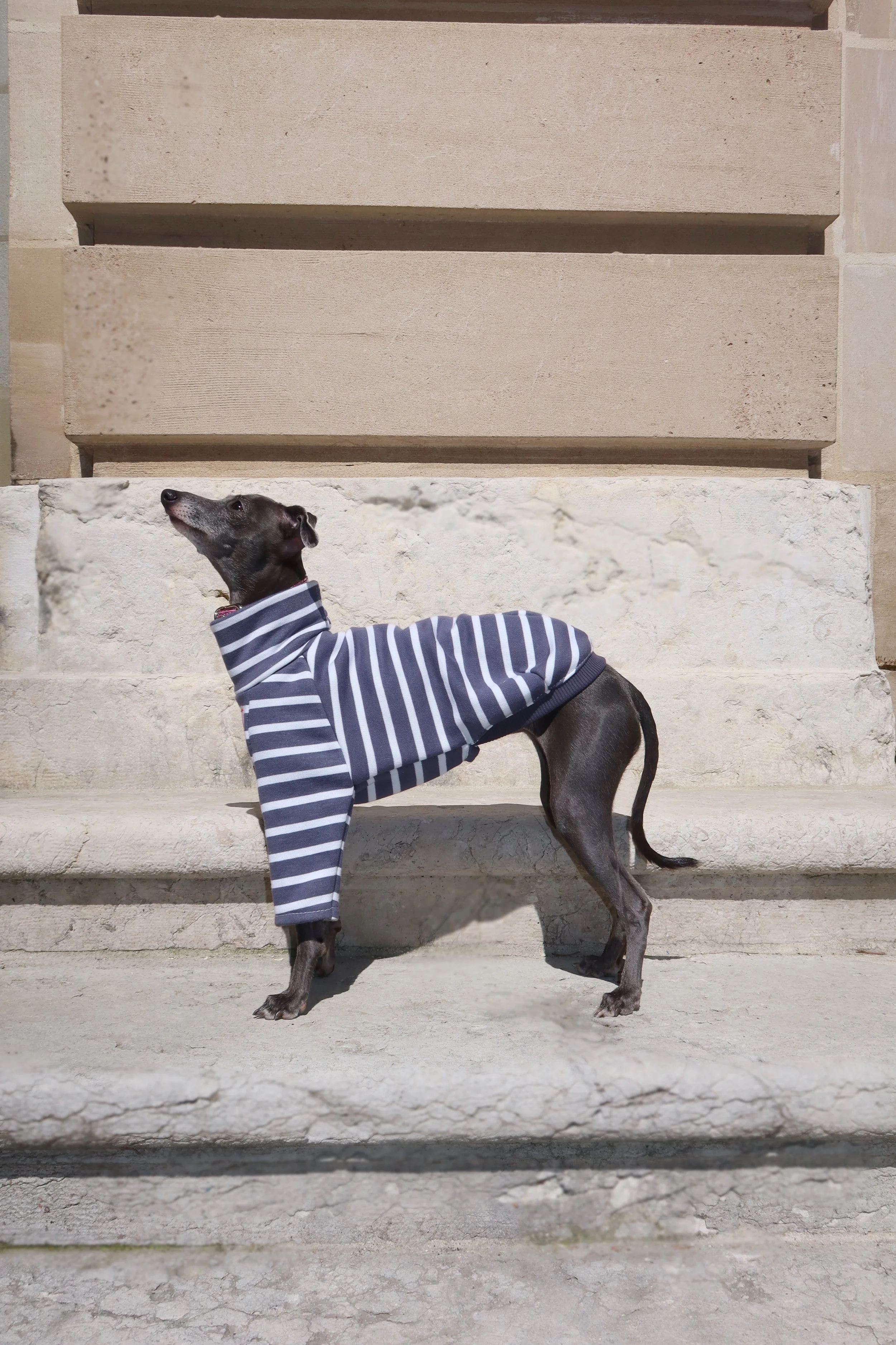 Dolce Bandito leisure shirt