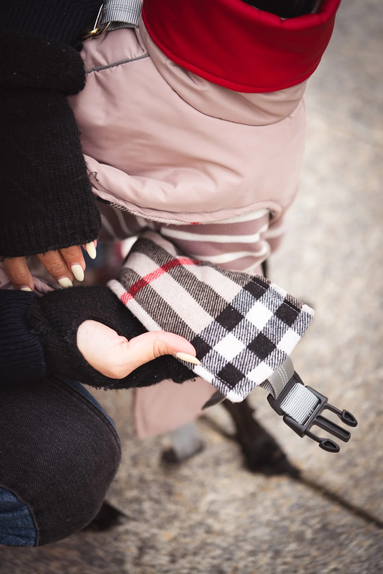 WEB - Edited 72DPI - Joy Corthesy-02973.jpg