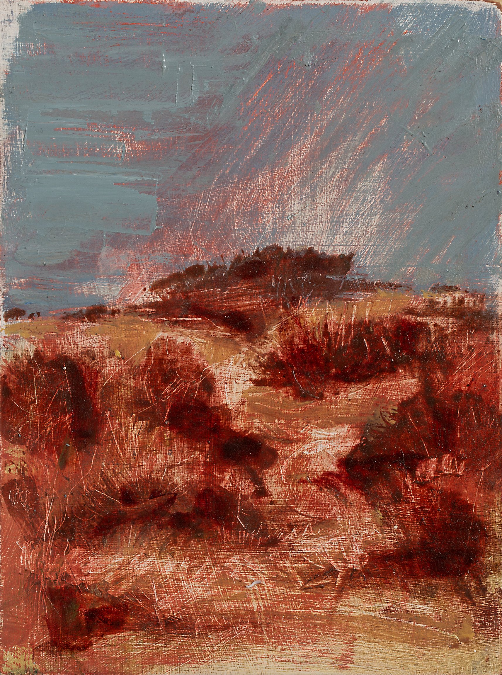 Memory of Te Henga Bethels by Louise Mair Oil Painting