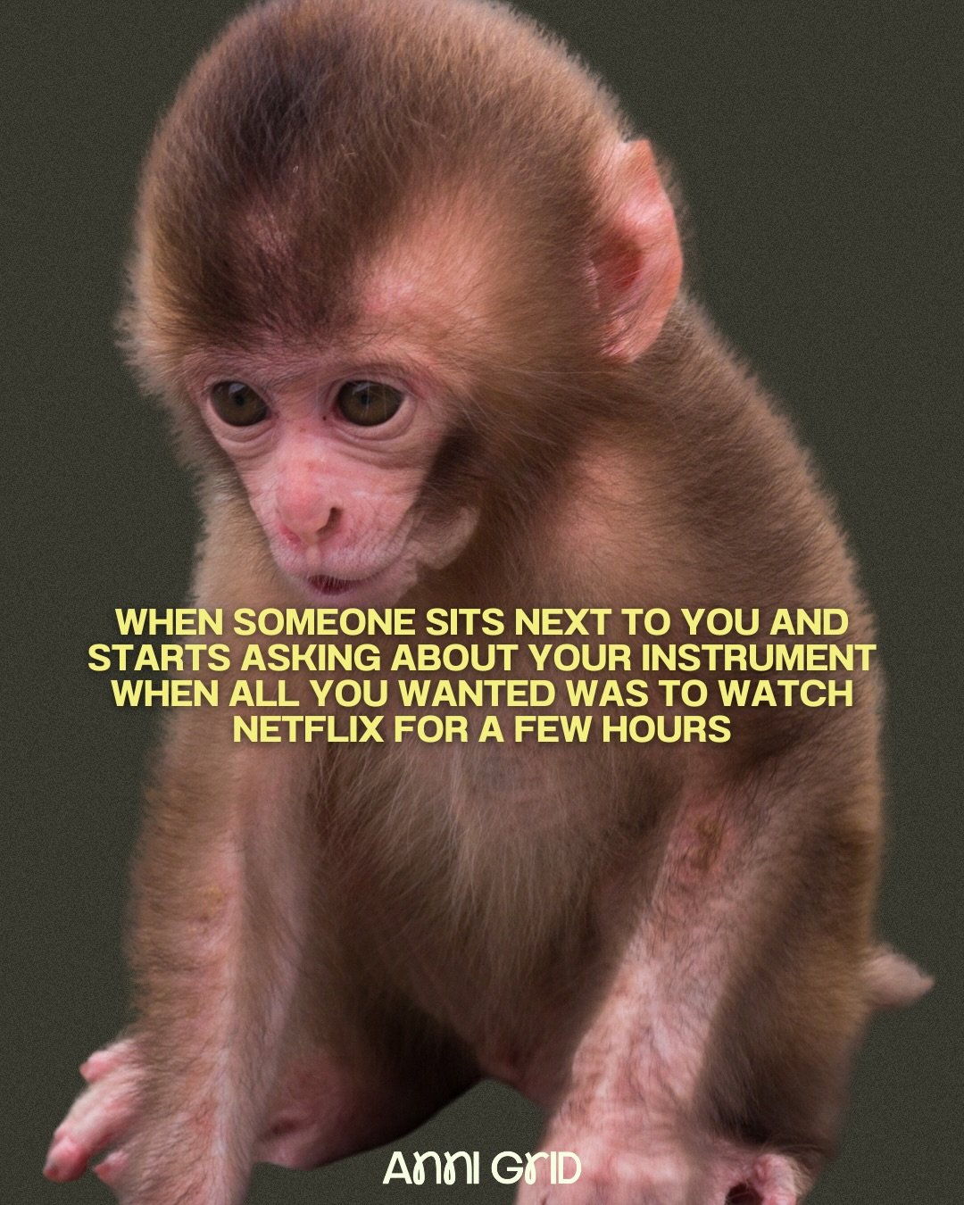 I&rsquo;m not an introvert but if I&rsquo;m sitting next to my instrument on a plane, train or bus, do not approach. 

🫣

#memesday #annigridmemes #classicalmusicmemes