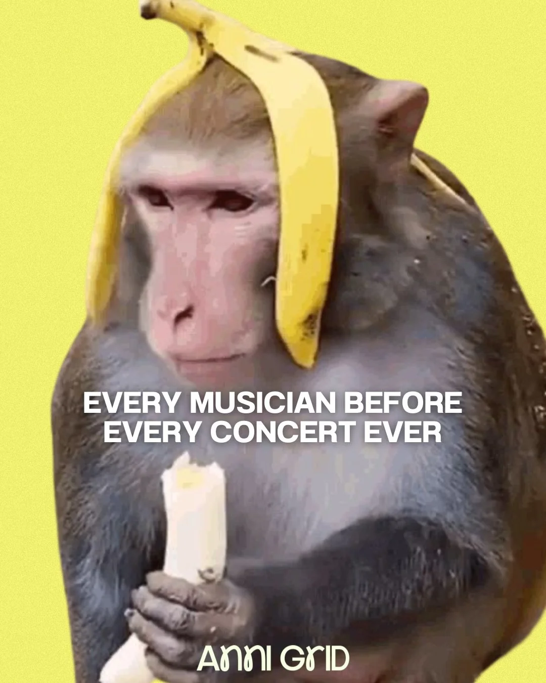 Never too many memes 🍌

#annigridmemes