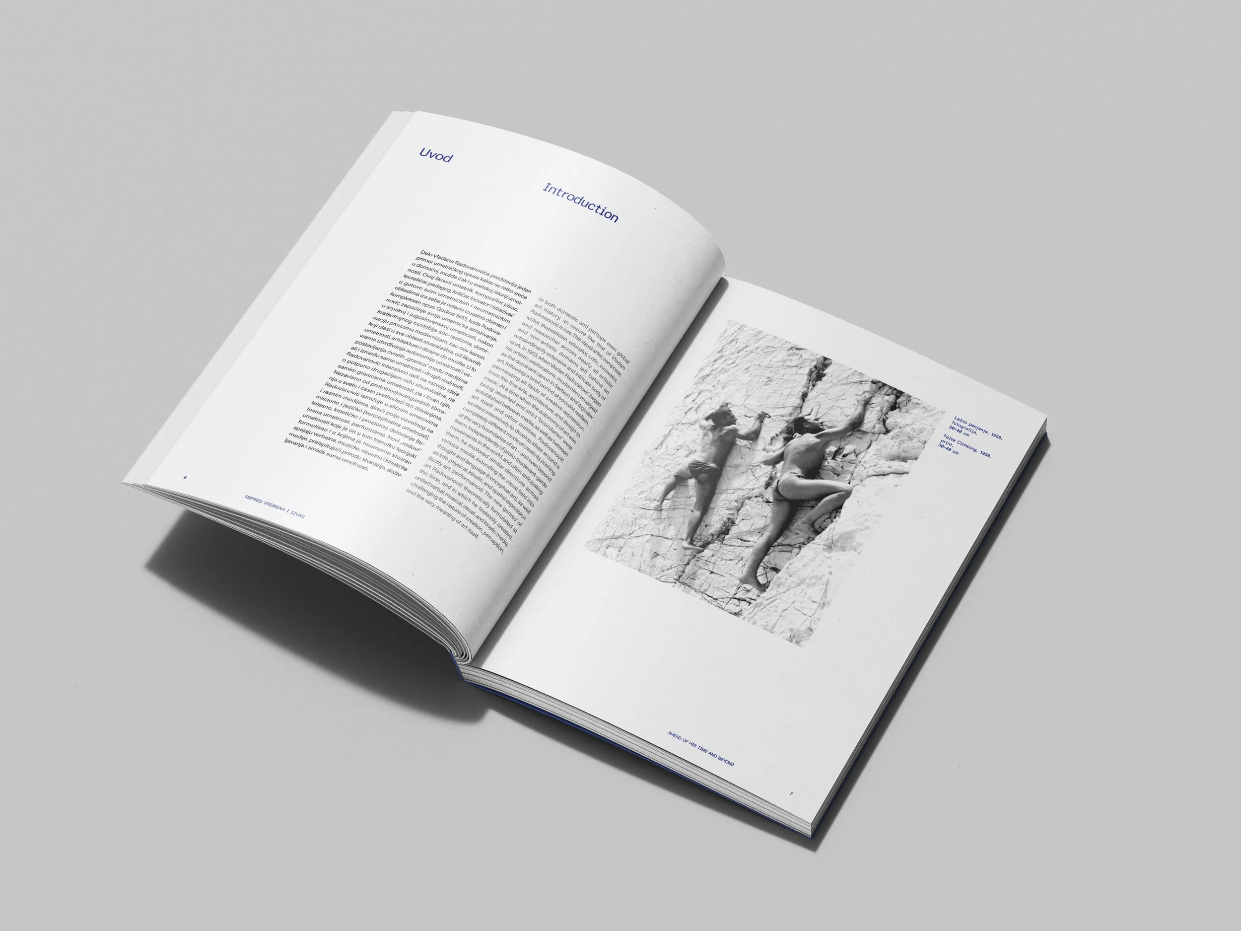 Free_Book_Mockup_5.jpg