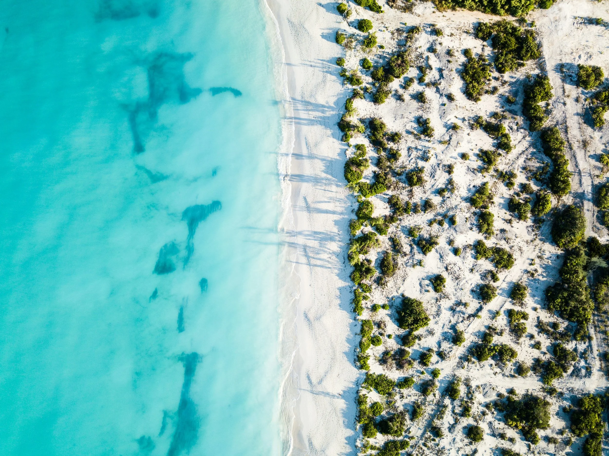 Aerial view of a beach with turquoise water and white sand, bordered by green trees and shrubs.