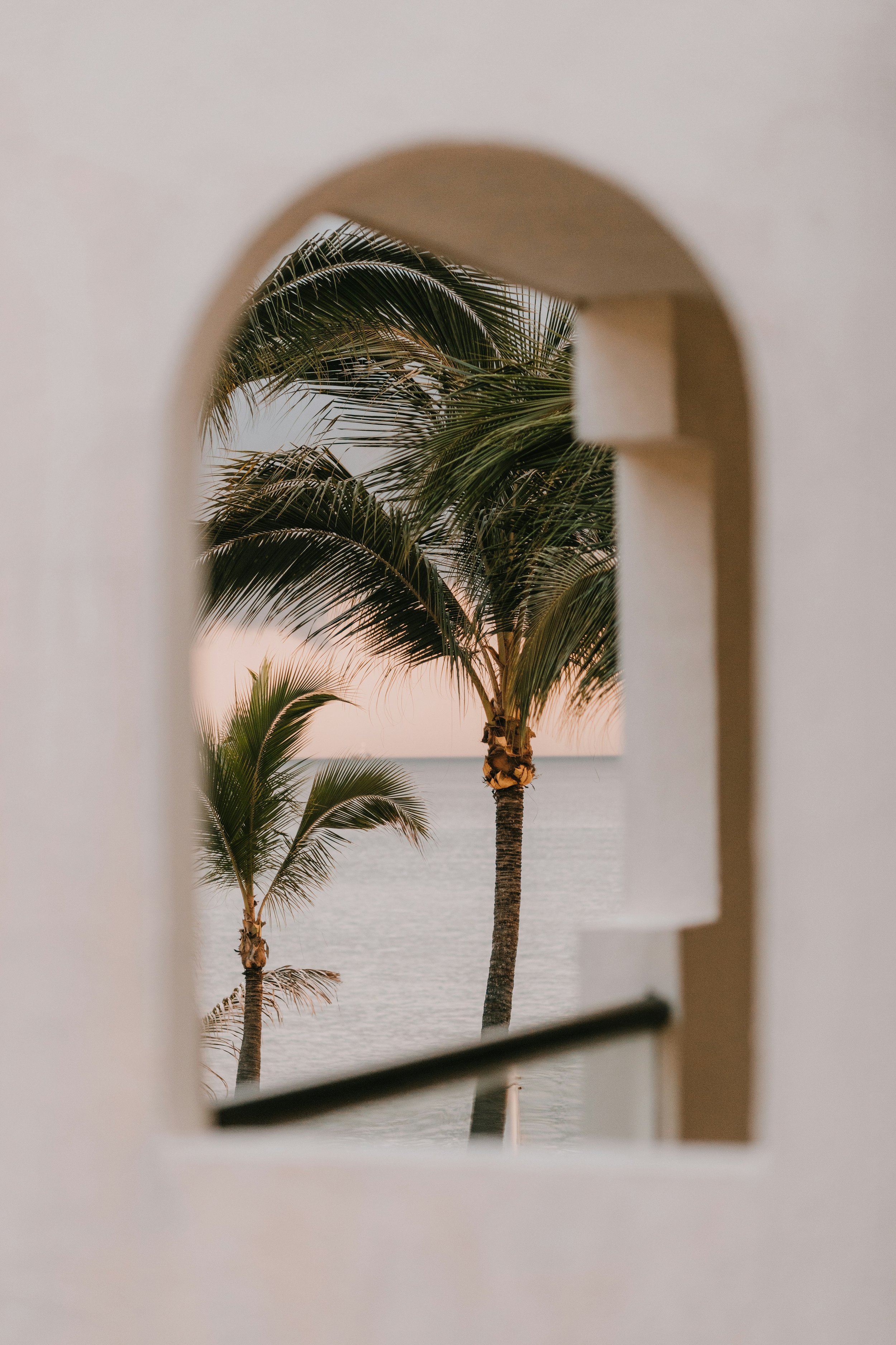 Palm trees view through a decorative window with a water body in the background during sunset.