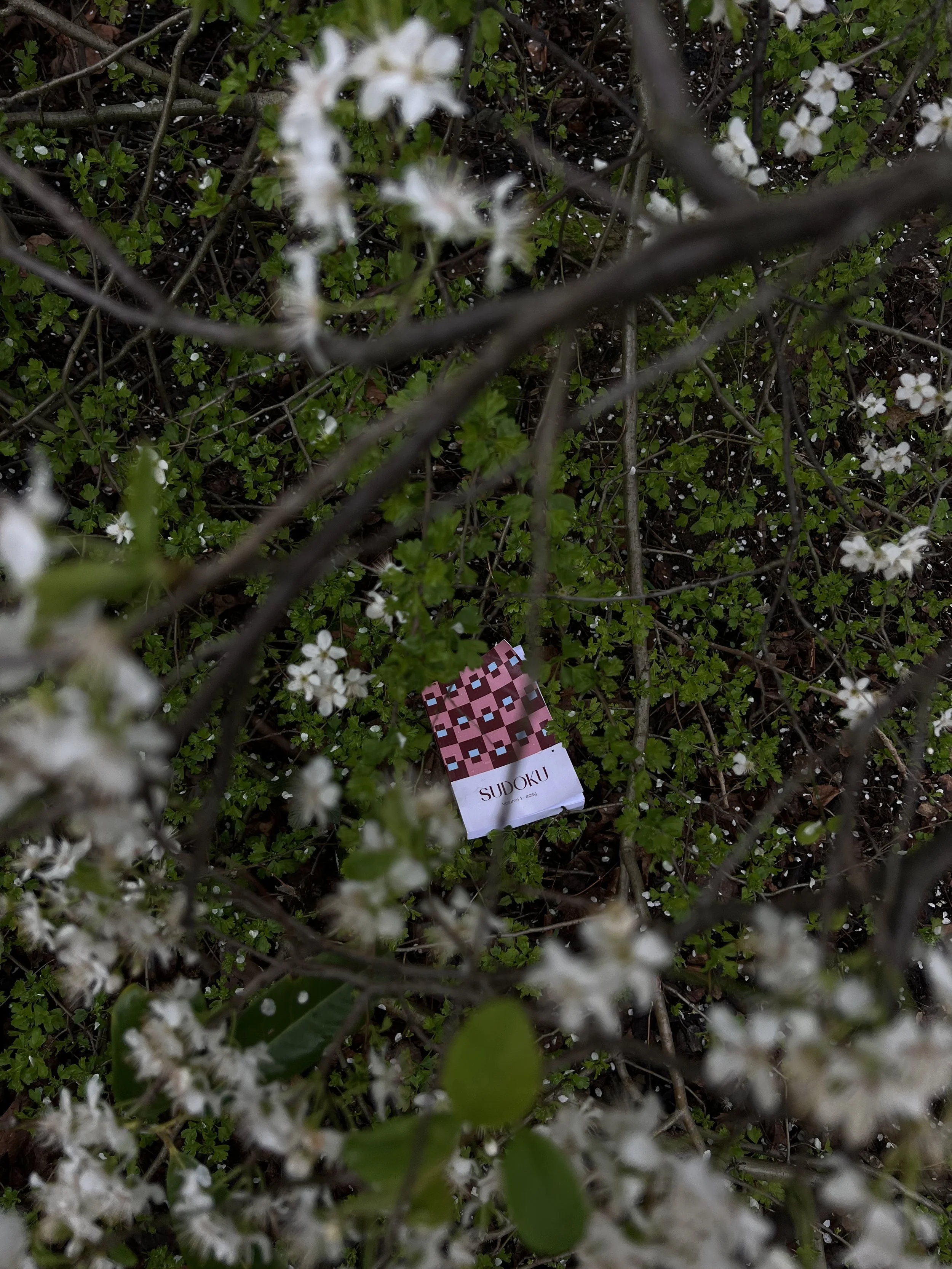 Sudoku Book in calm environment