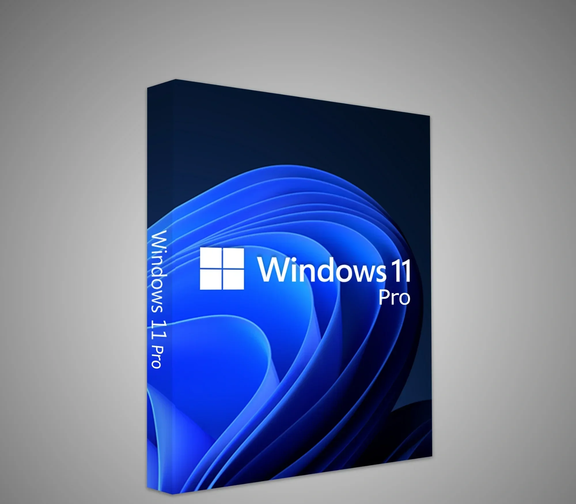 Windows 11 Pro