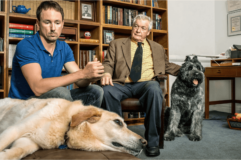 Is Your Relationship with Fido on the Rocks?