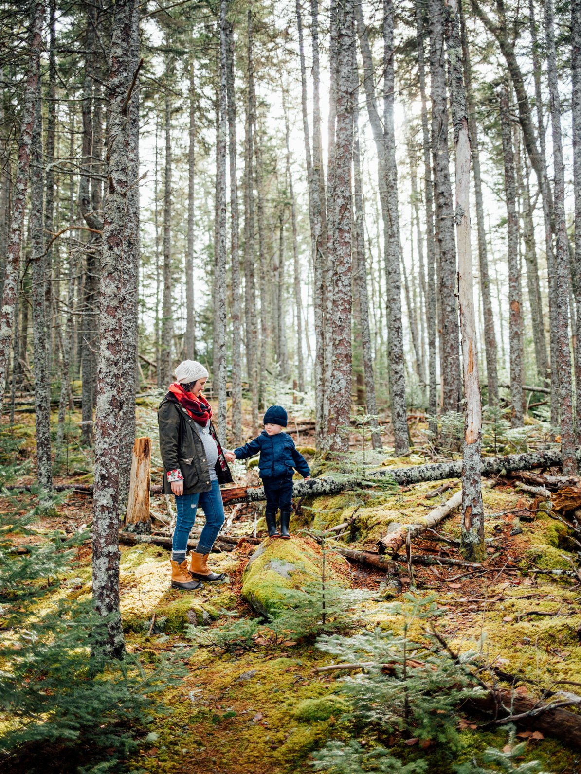 AdobeStock_259253442 (1).jpeg