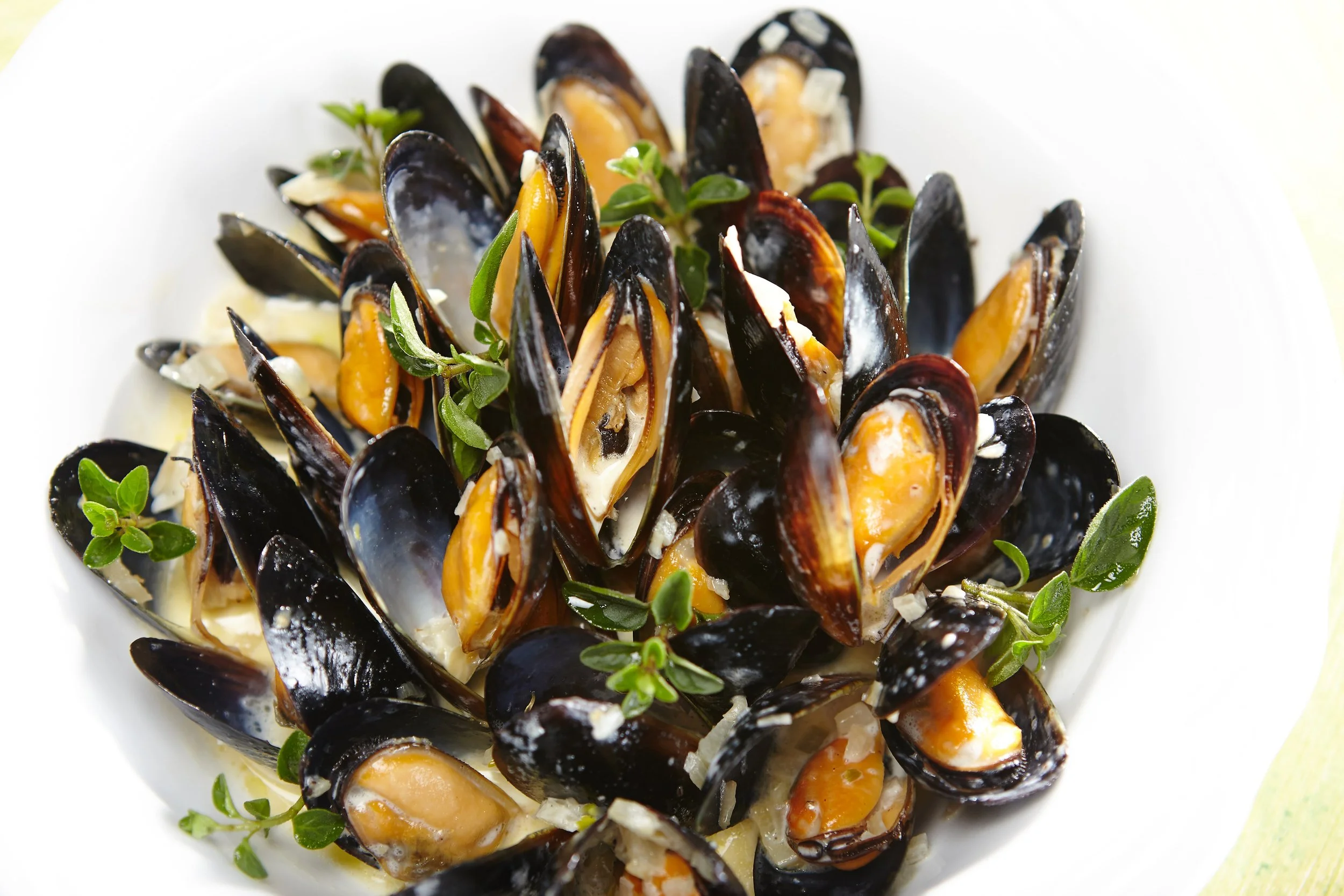 A white plate filled with cooked mussels garnished with fresh green herbs.