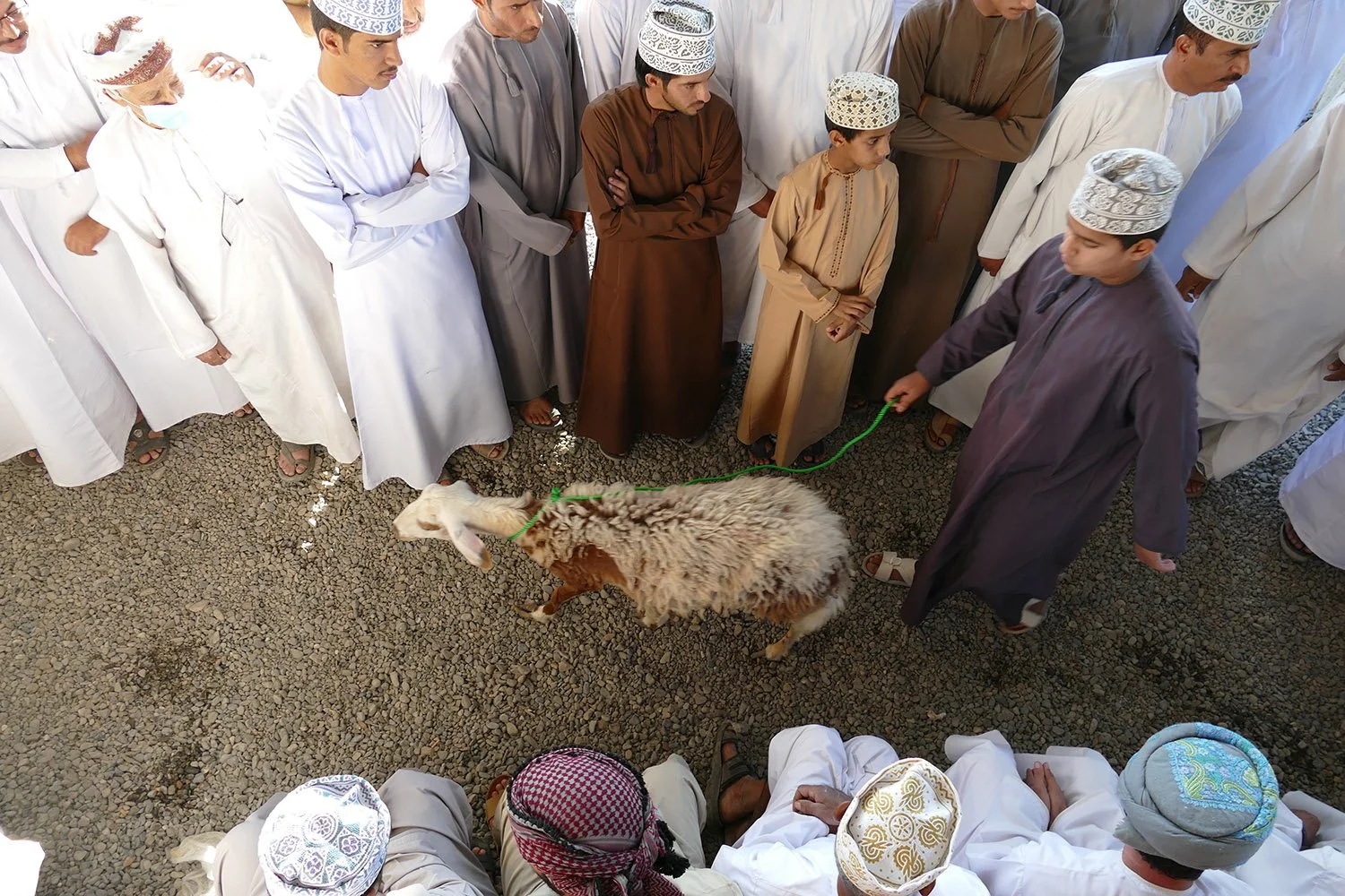 Een groep mensen in traditionele kleding verzameld rond een voorbij lopende geit. De mensen dragen hoofdbanden en tunieken, en staan op een gravelondergrond.